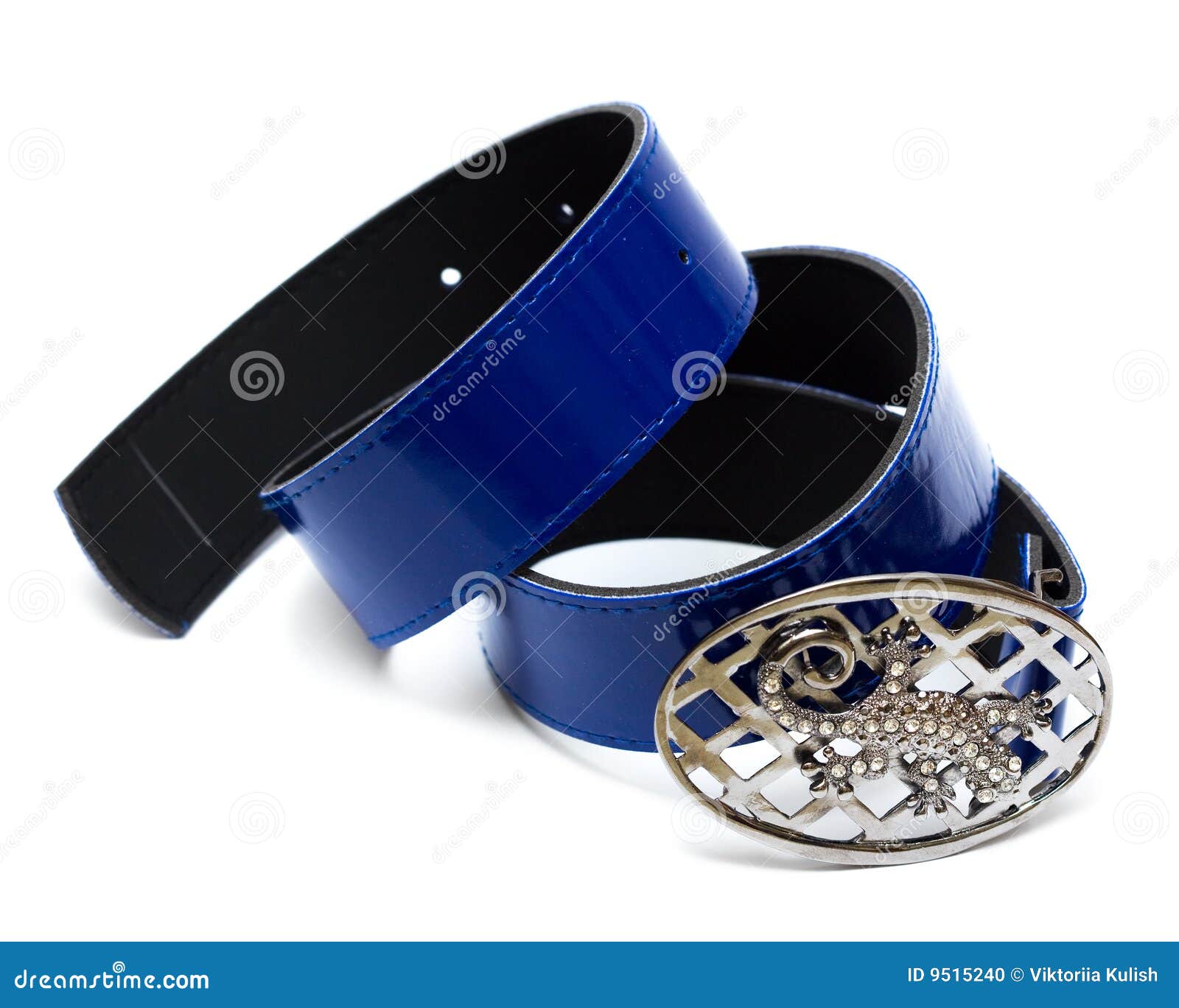 Beautiful Belt With Diamonds Stock Photo Image of loop, female 9515240