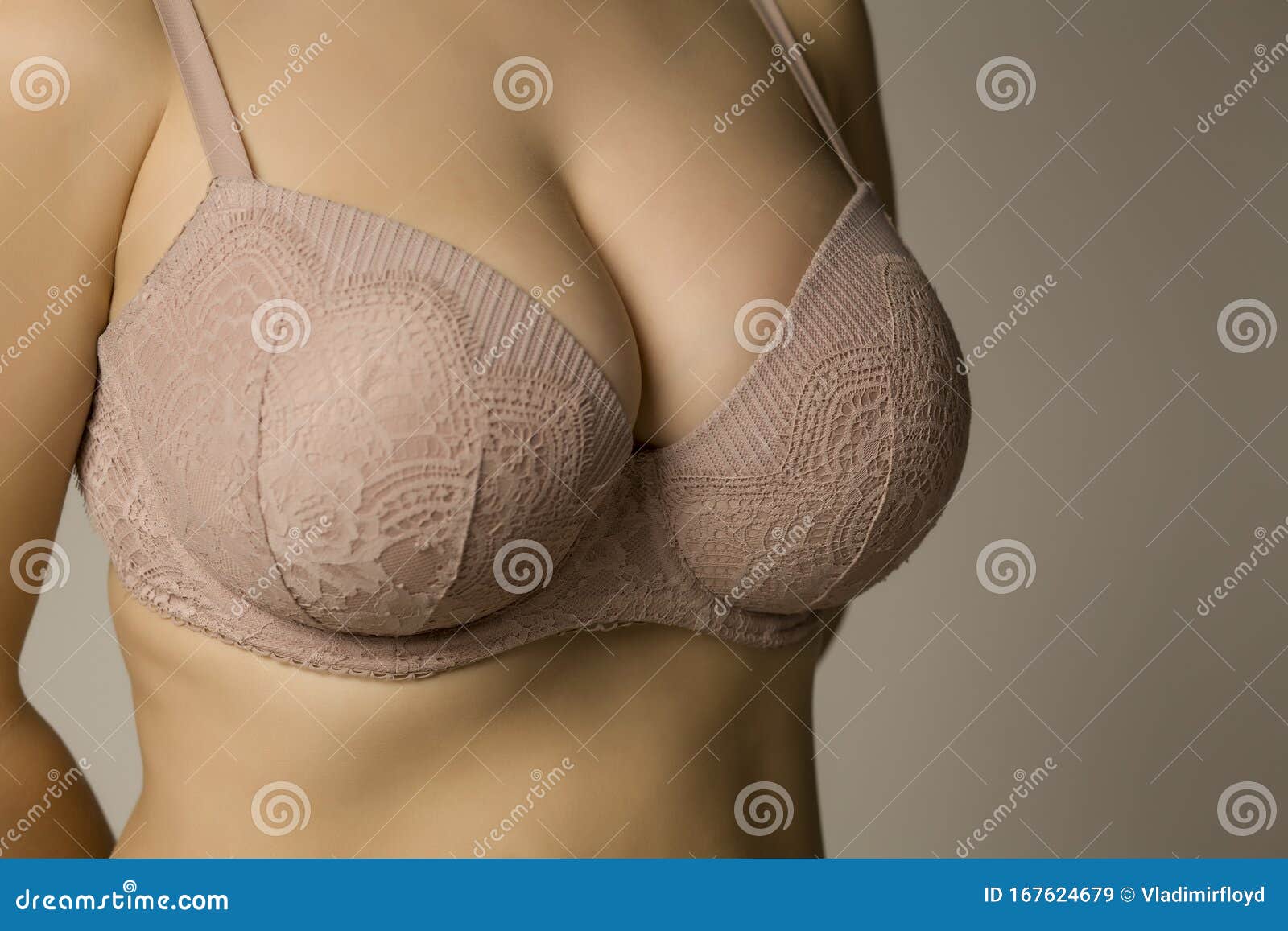 Beautiful Big Breasts in Bra Stock Image - Image of cosmetic