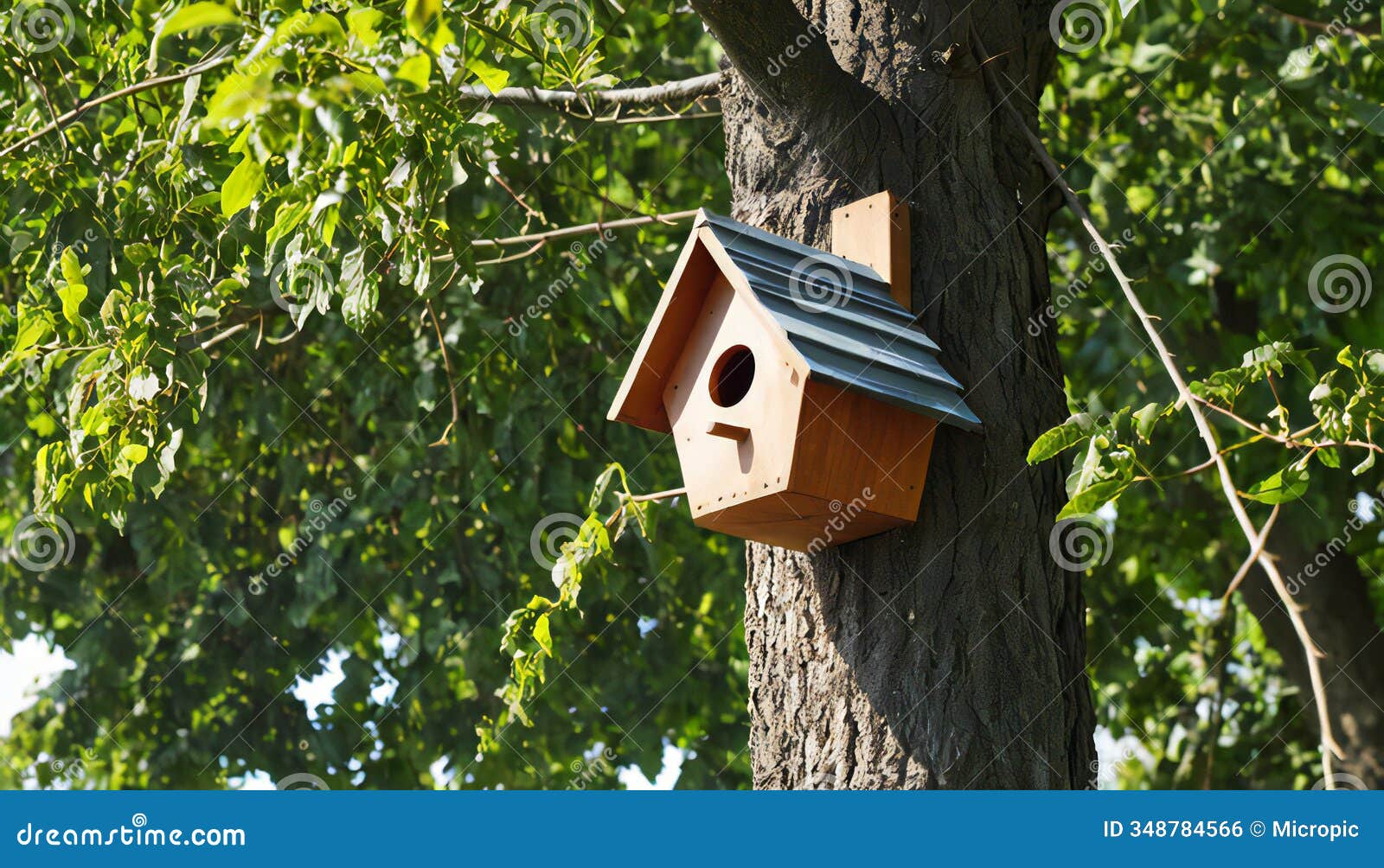 beautiful bird house on tree day time picture ai generated image
