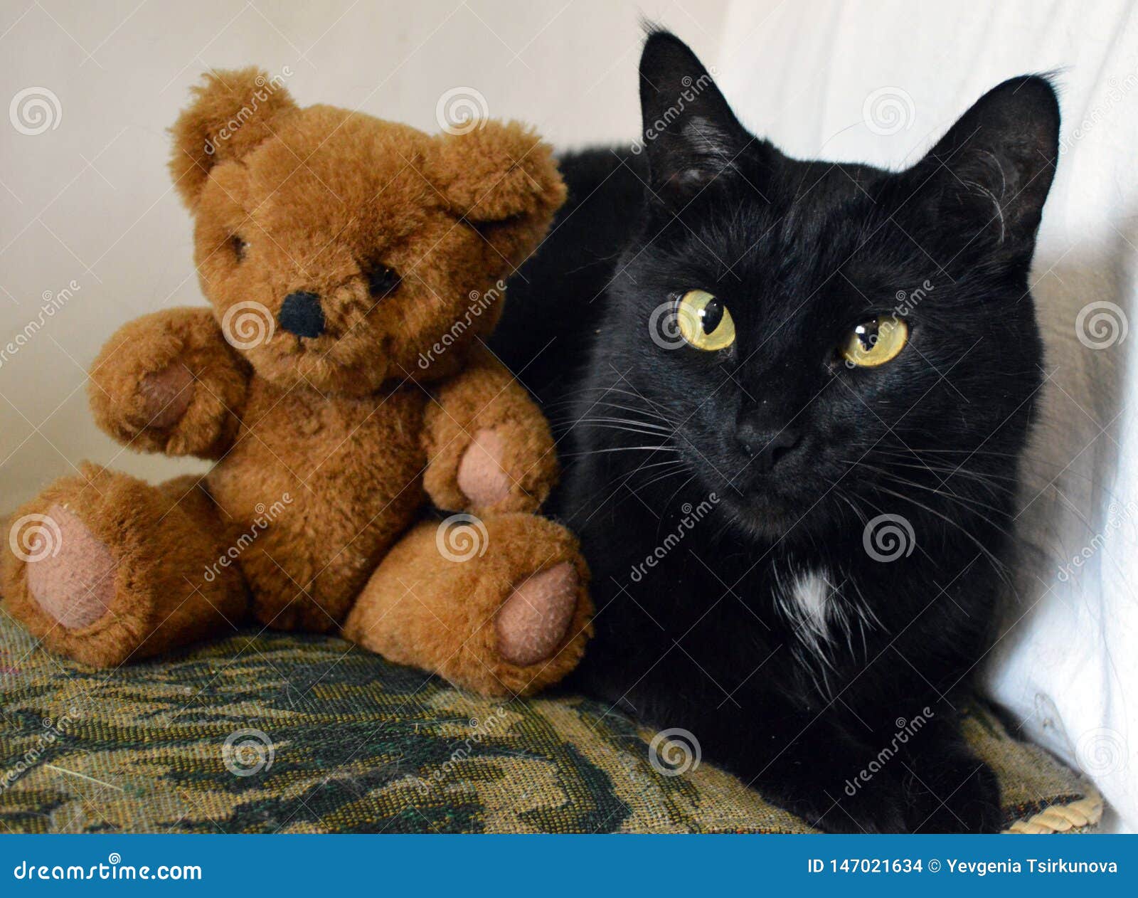 black cat teddy bear