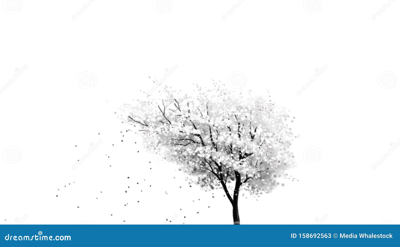 Black White Cherry Blossom Tree Stock Illustrations 1 922 Black White Cherry Blossom Tree Stock Illustrations Vectors Clipart Dreamstime