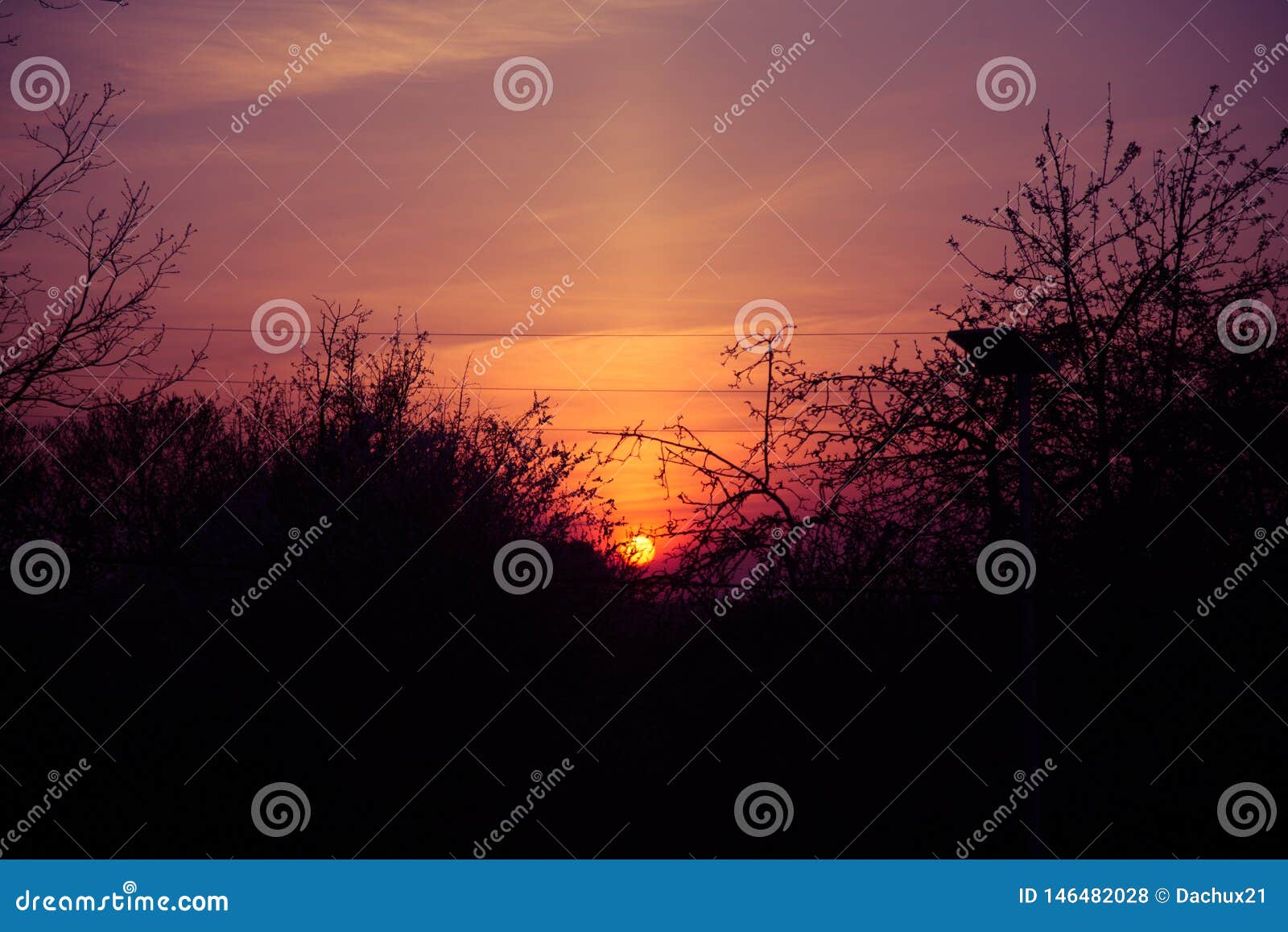 A Beautiful, Blazing Sunset through the Tree Branches. Stock Photo