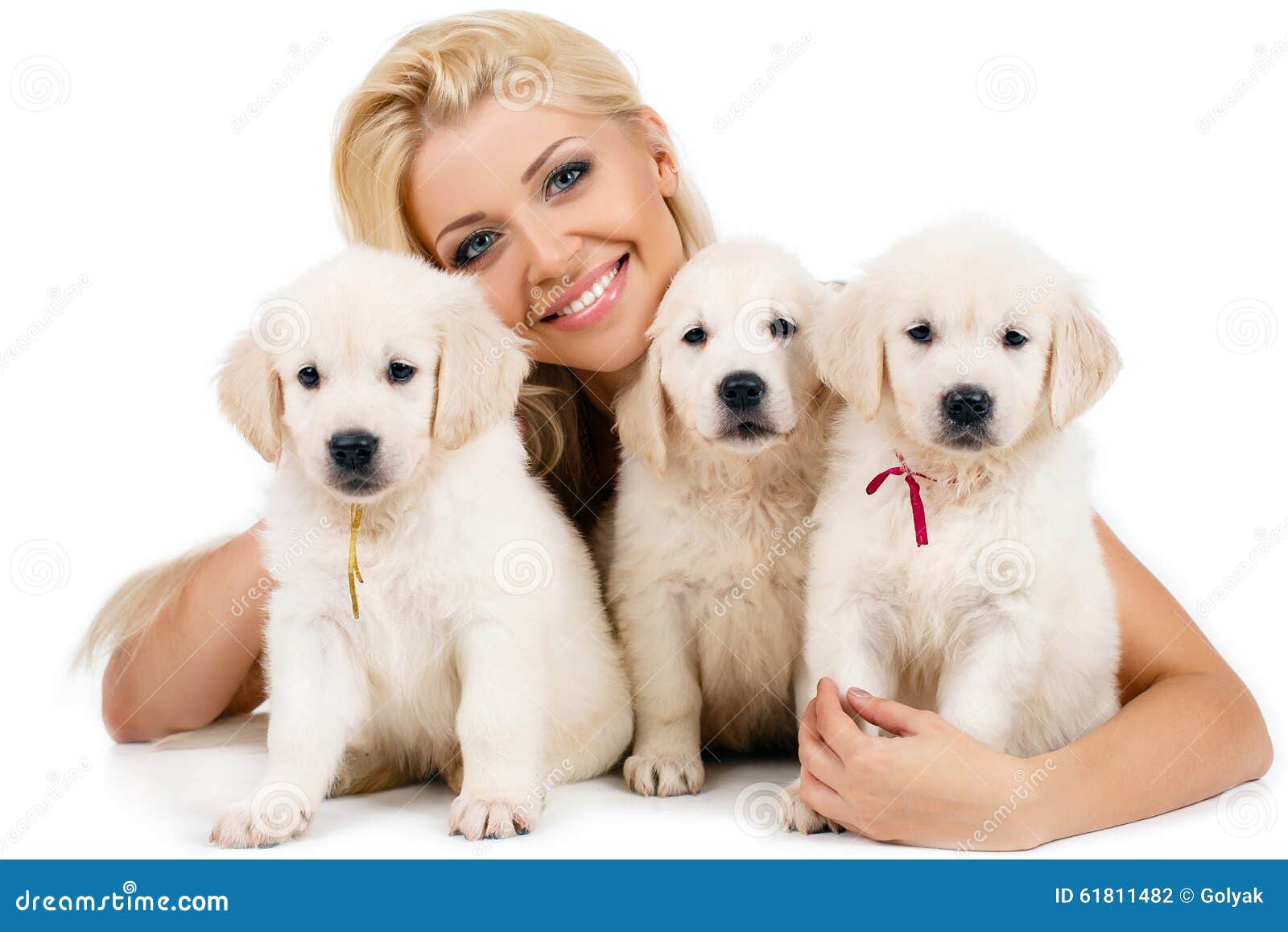 Beautiful Blonde with a Small White Puppy of Labrador Stock Photo - Image of hispanic, joyful: 61811482 Beautiful Blonde with a Small White Puppy of Labrador Stock Photo - Image of hispanic, joyful: 61811482