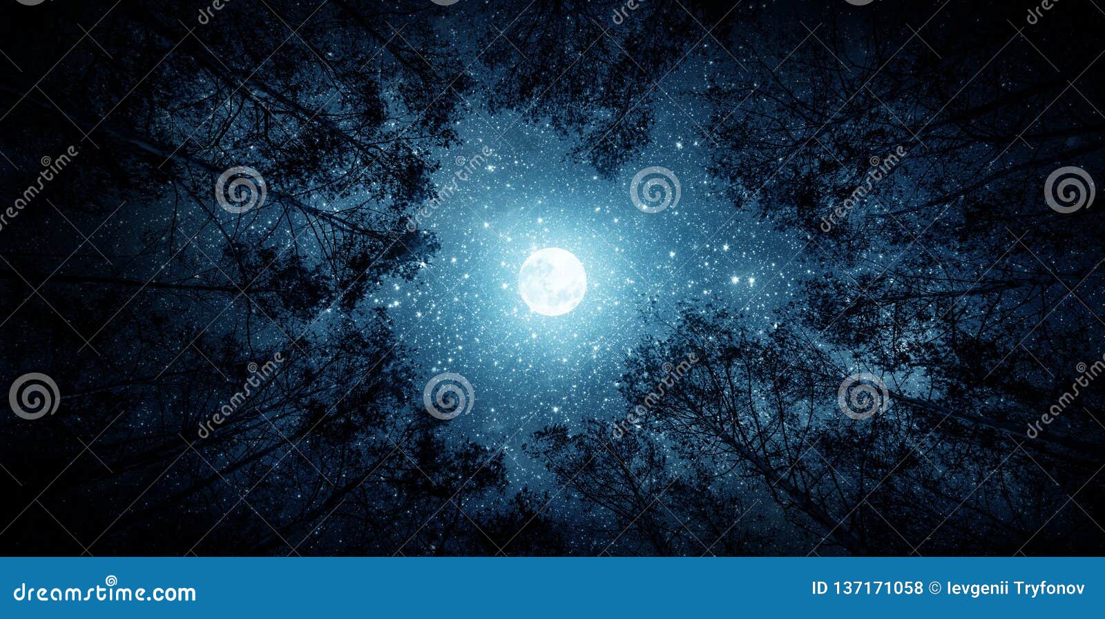 beautiful night sky, the milky way, moon and the trees. s of this image furnished by nasa