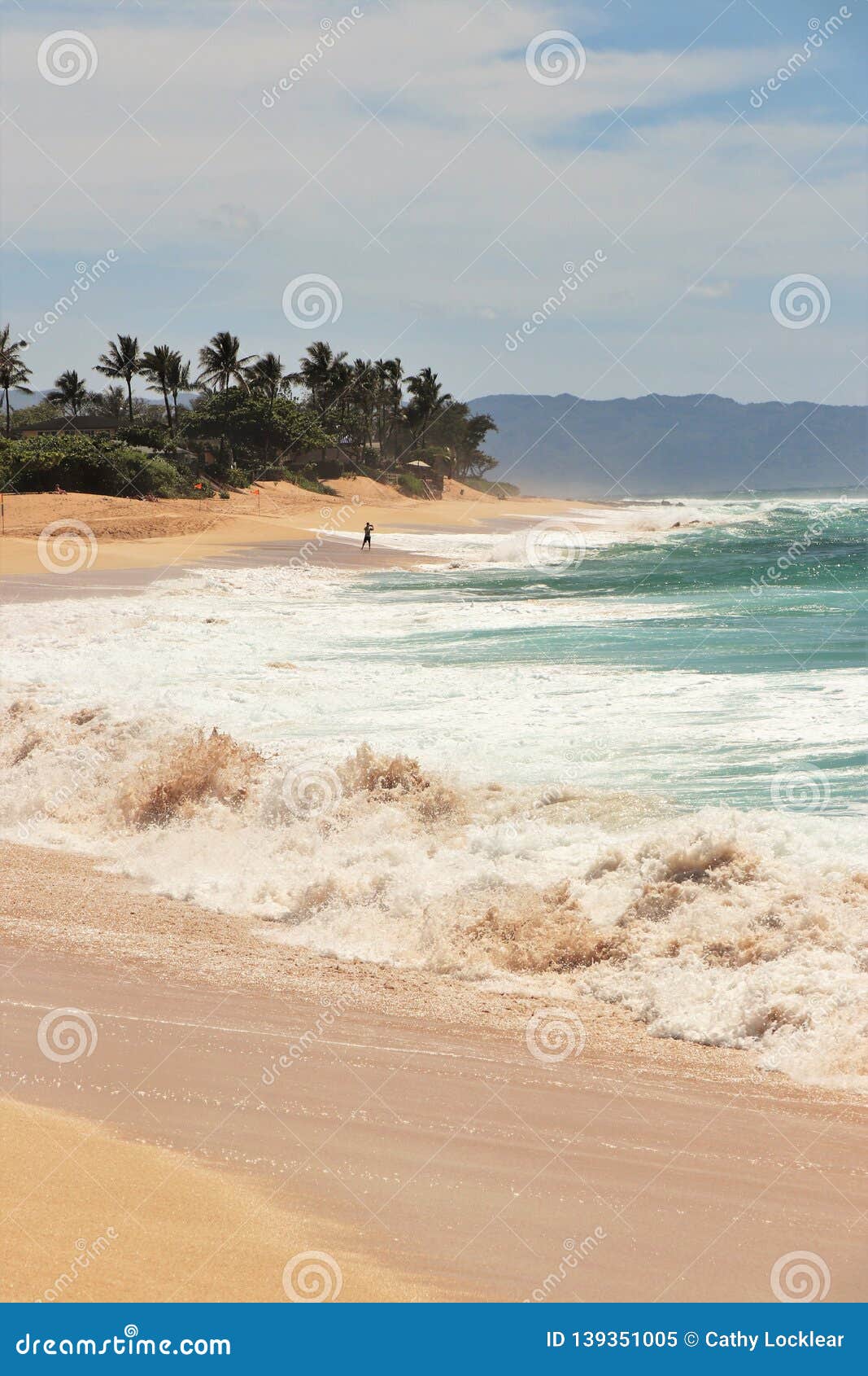 Oahu Topless Beach - Beautiful Blue Ocean and Sandy Beach on the Island of Oahu in Hawaii Stock  Image - Image of beautiful, ocean: 139351005