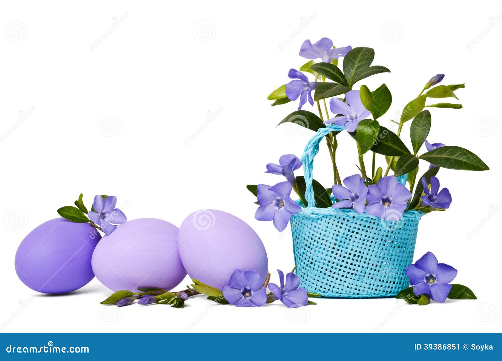 Beautiful Blue Periwinkle in the Basket and Violet Easter Eggs Stock