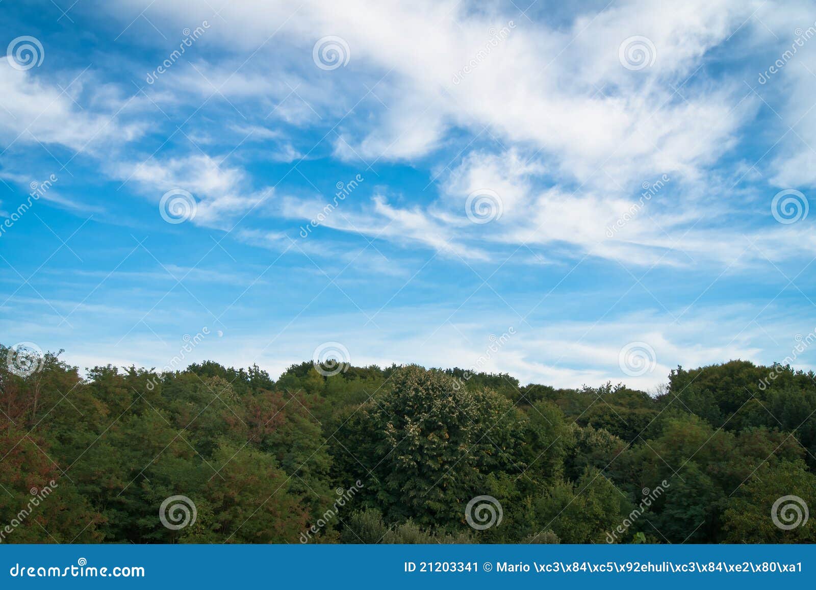 Beautiful Blue Sky and Green Forest on Horizon Stock Image Image of