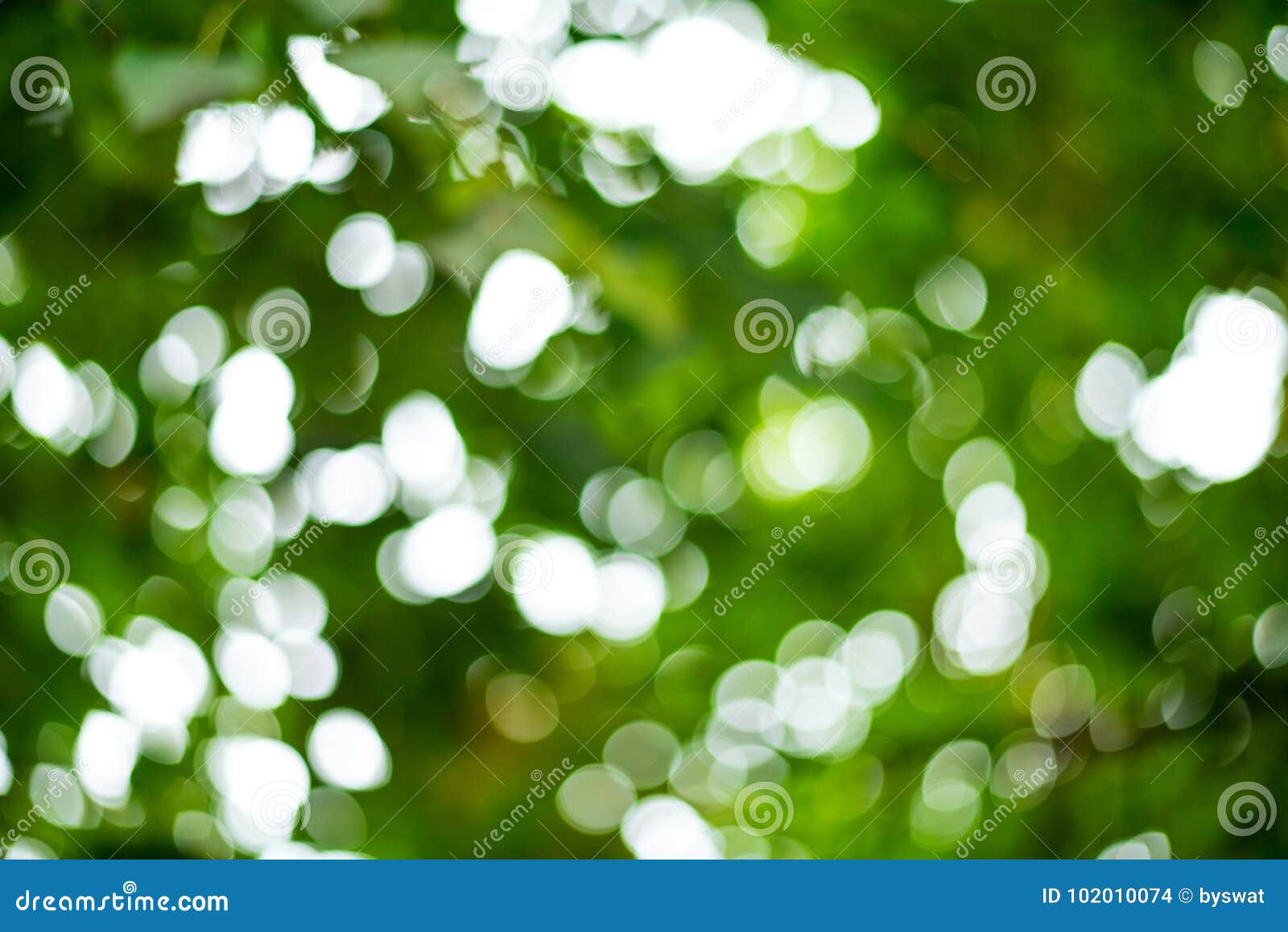 Beautiful Blur Background, Bokeh on Nature. Stock Photo - Image of blurry,  abstract: 102010074