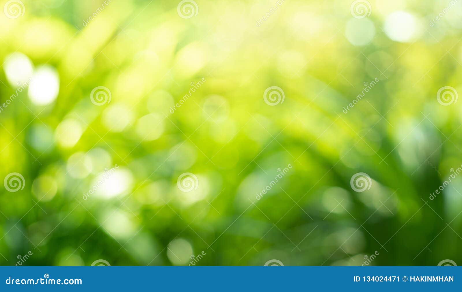 Blurred Background  Blur Park With Bokeh Light Natural Background Stock  Photo Picture And Royalty Free Image Image 46991026