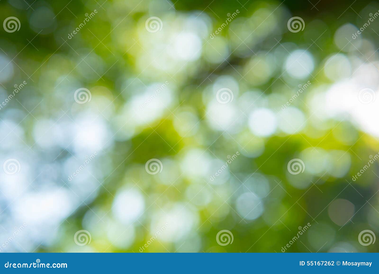 Beautiful Bokeh Nature for Background Stock Photo - Image of ...