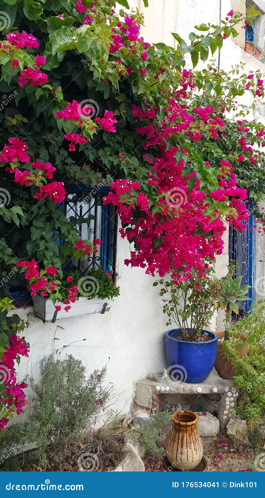 Beautiful Bougainvillea Bush and Decoration in the Garden at the House ...