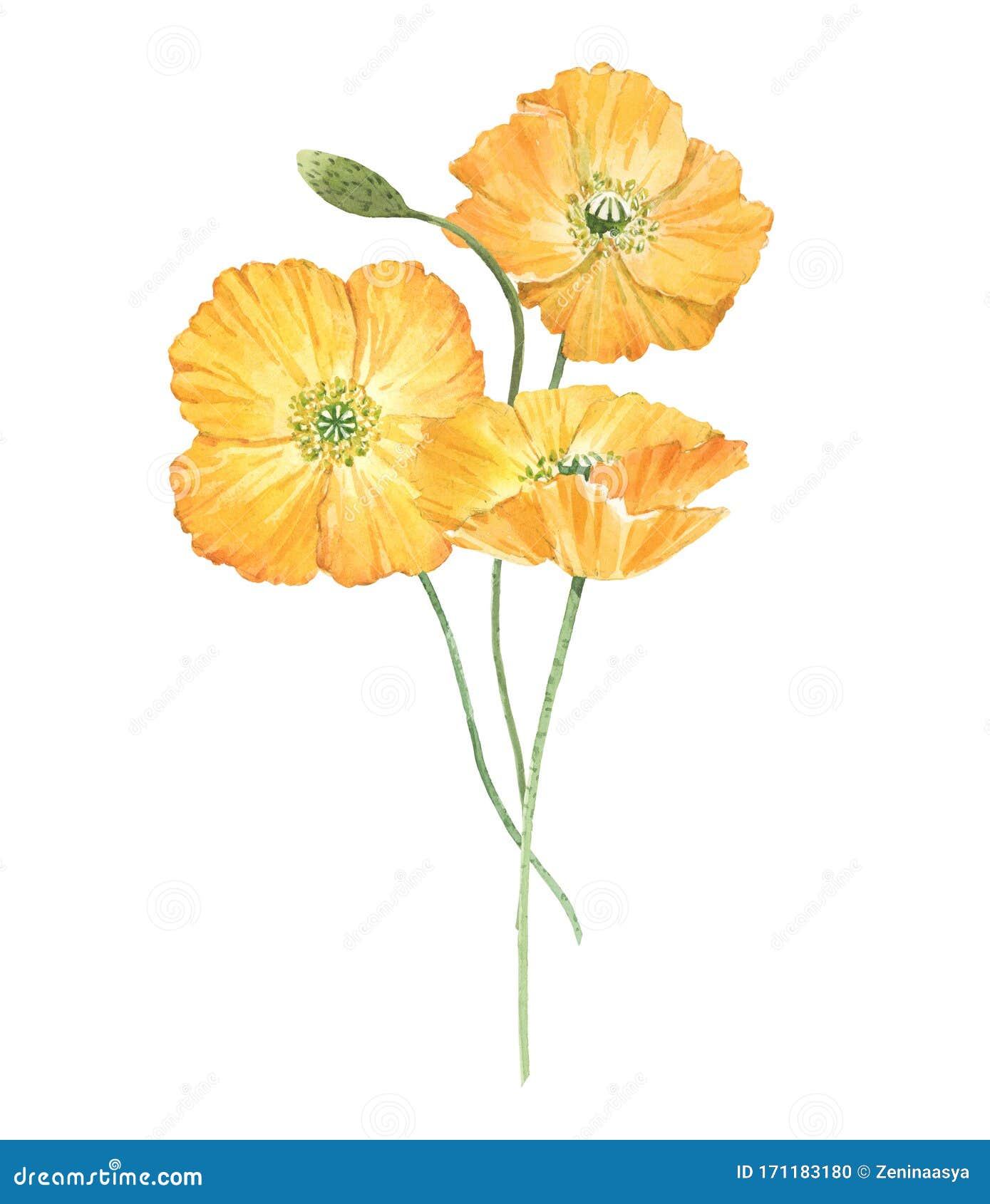 Beautiful Bouquet Composition with Watercolor Yellow Poppy Flowers ...