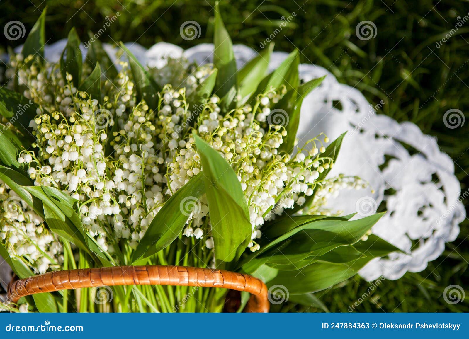 Beautiful Bouquet of Lily of the Valley in the Basket Stock Image Image of colorful, bouquet