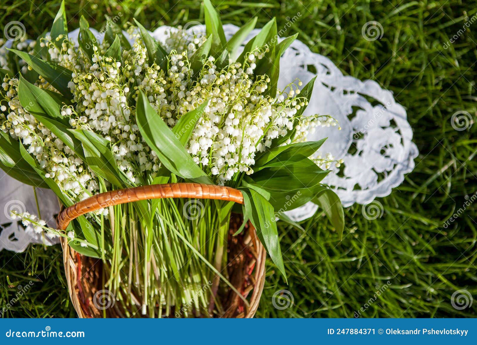 Beautiful Bouquet of Lily of the Valley in the Basket Stock Image Image of romantic, retro