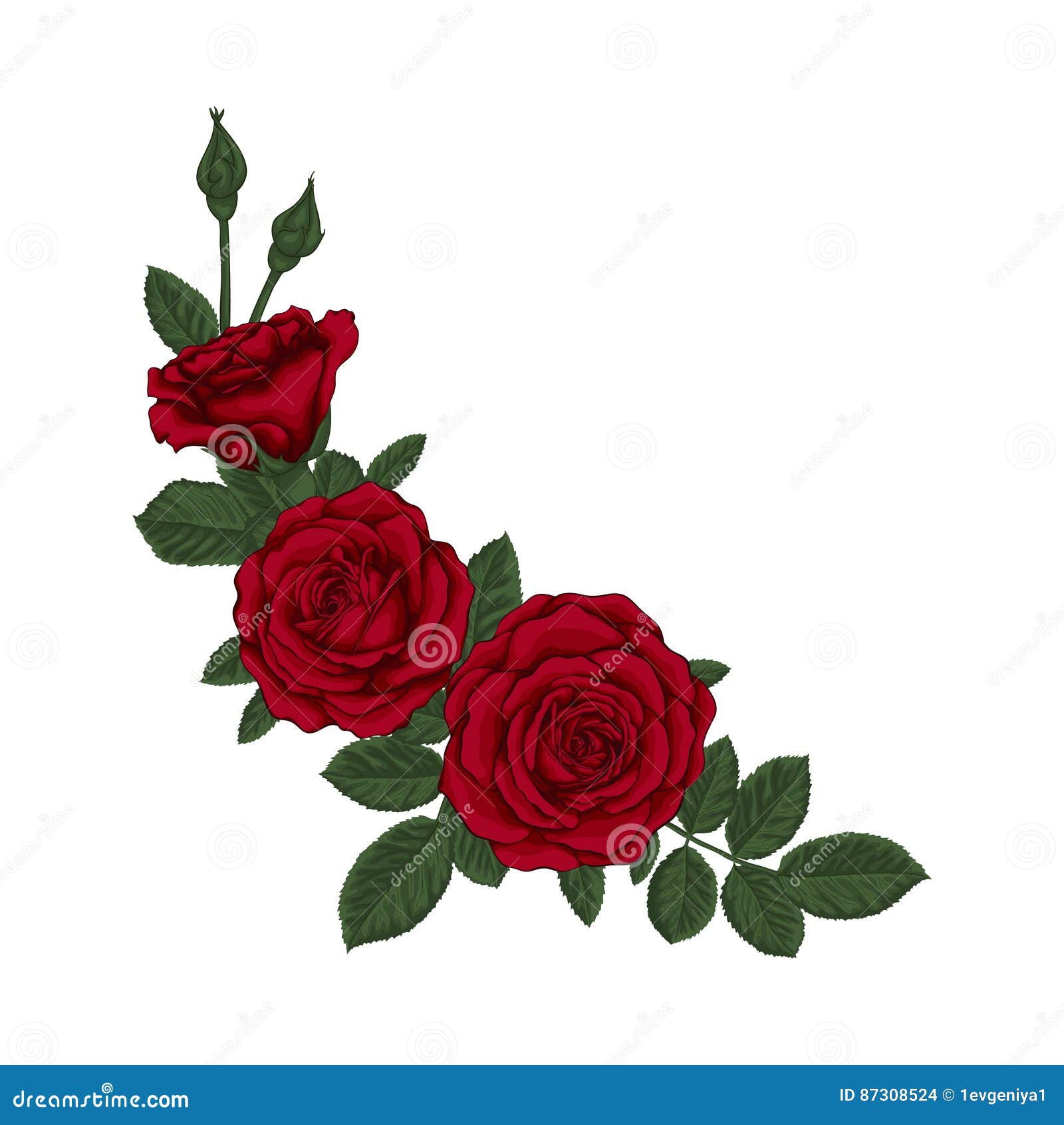 Birthday greeting and a bouquet of red roses Vector Image