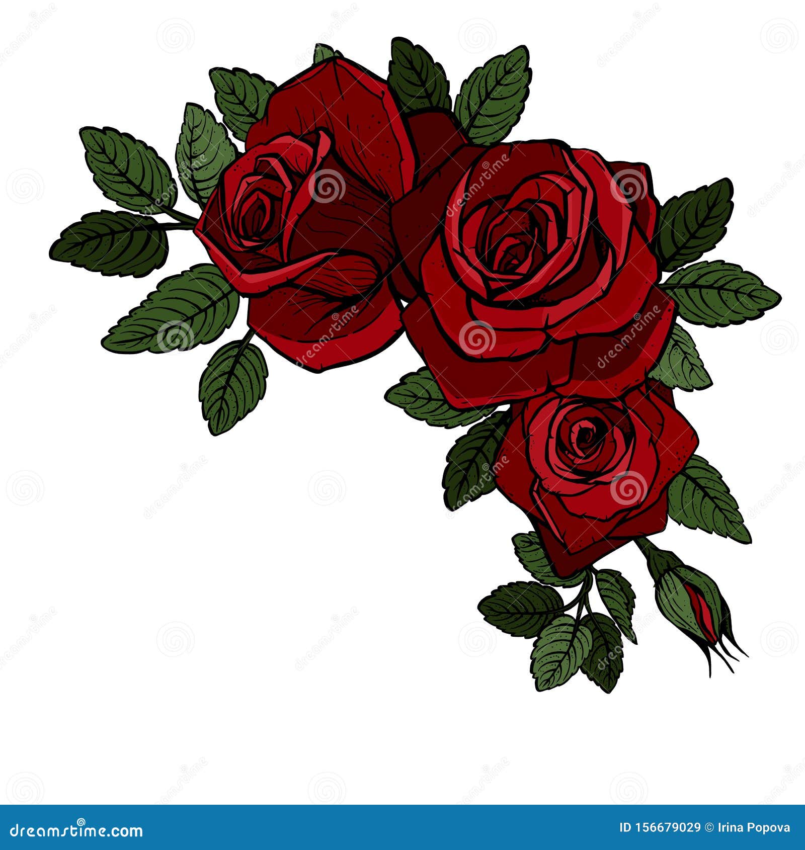 Beautiful Bouquet with Red Roses. Red Roses on a White Background ...