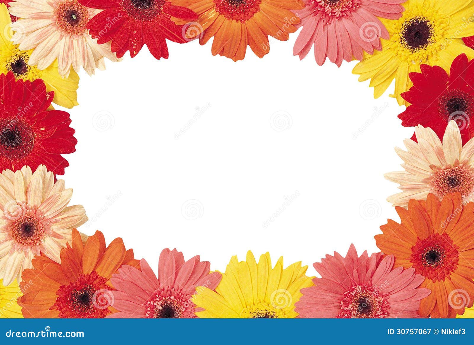 beautiful bouquet of red and yellow flowers on a white background there is a place for text