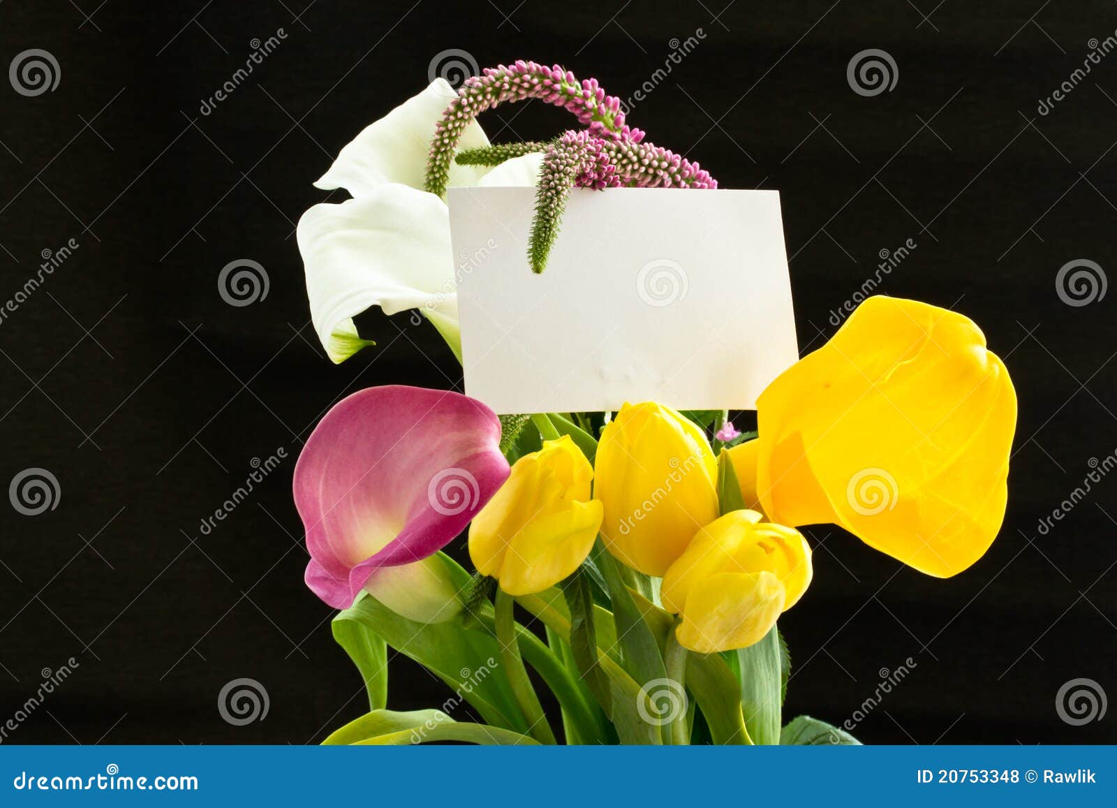 Beautiful Bouquet of Tulips and Calla Lilies Stock Photo Image of