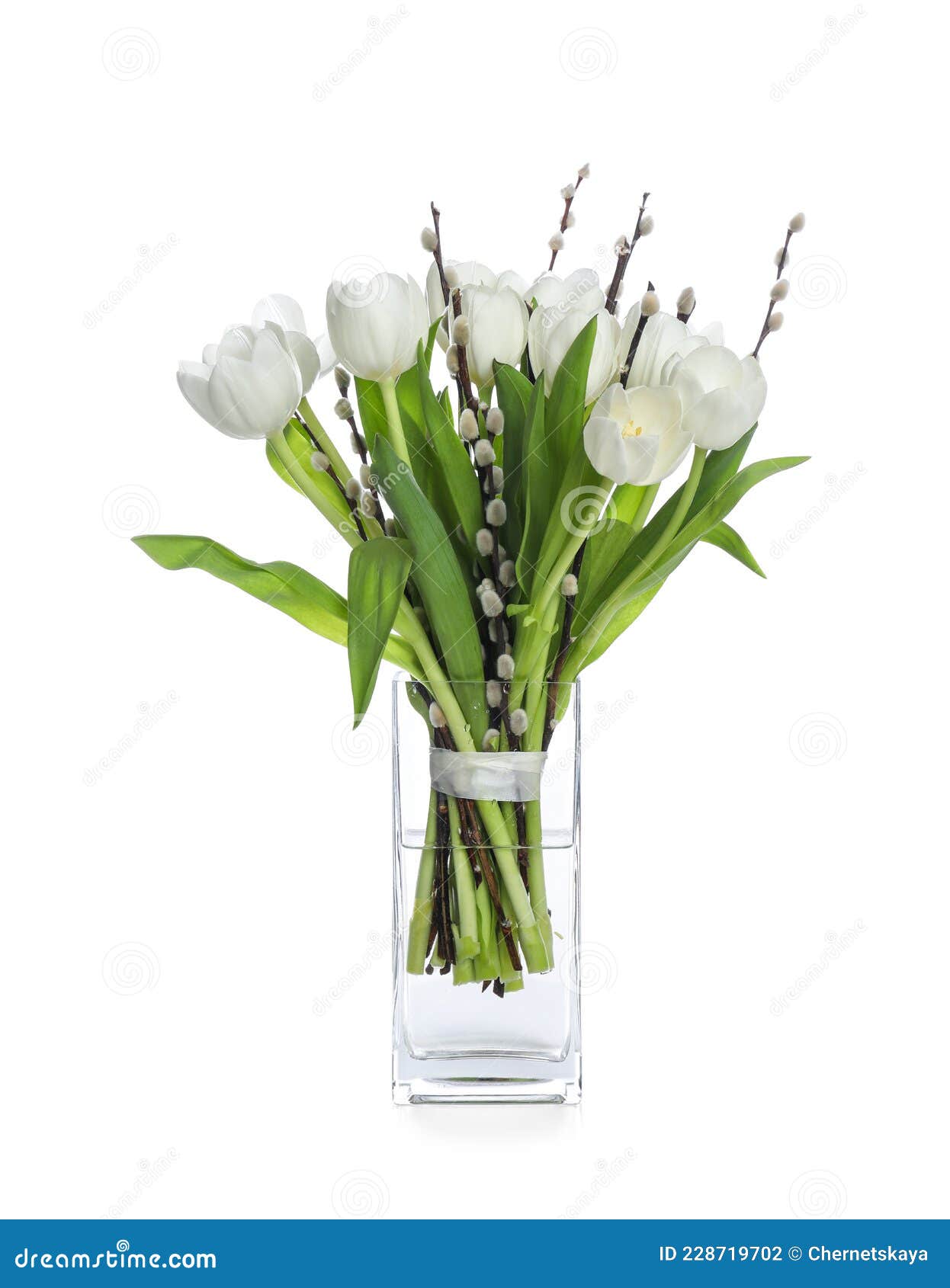 Beautiful Bouquet of Willow Branches and Tulips in Vase Isolated on