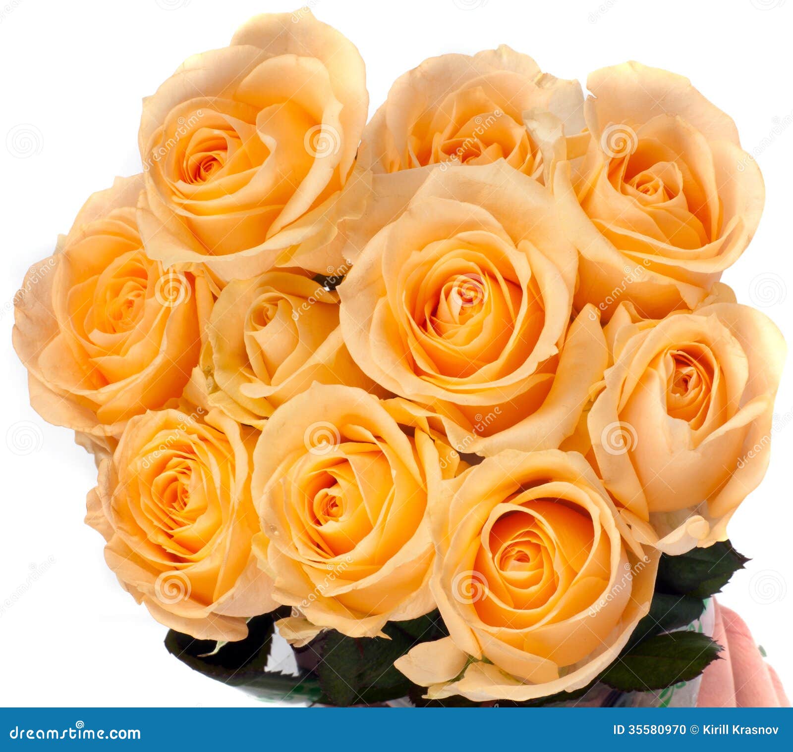 Beautiful Bouquet of Yellow Roses Stock Photo Image of orange, large
