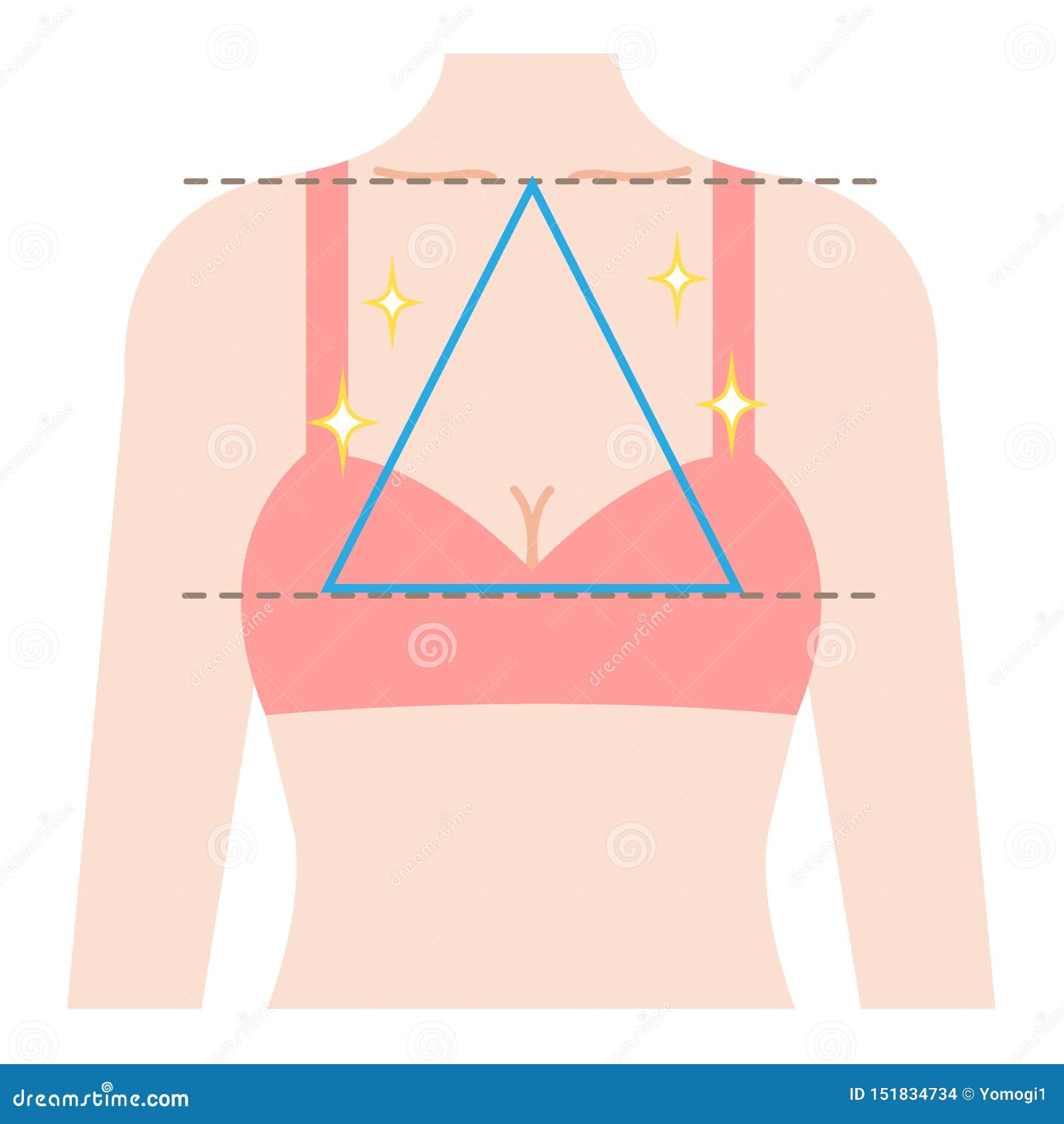 Beautiful Breast Shape is Regular Triangle Connecting Three Points from  Center of Clavicle To Top Breast. Isolated on White Backgr Stock Vector -  Illustration of lingerie, aging: 151834734