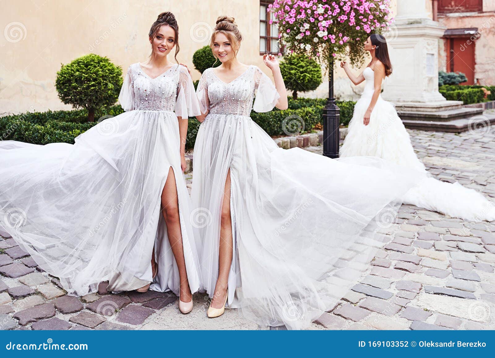 Beautiful Bride and Bridesmaids in ...