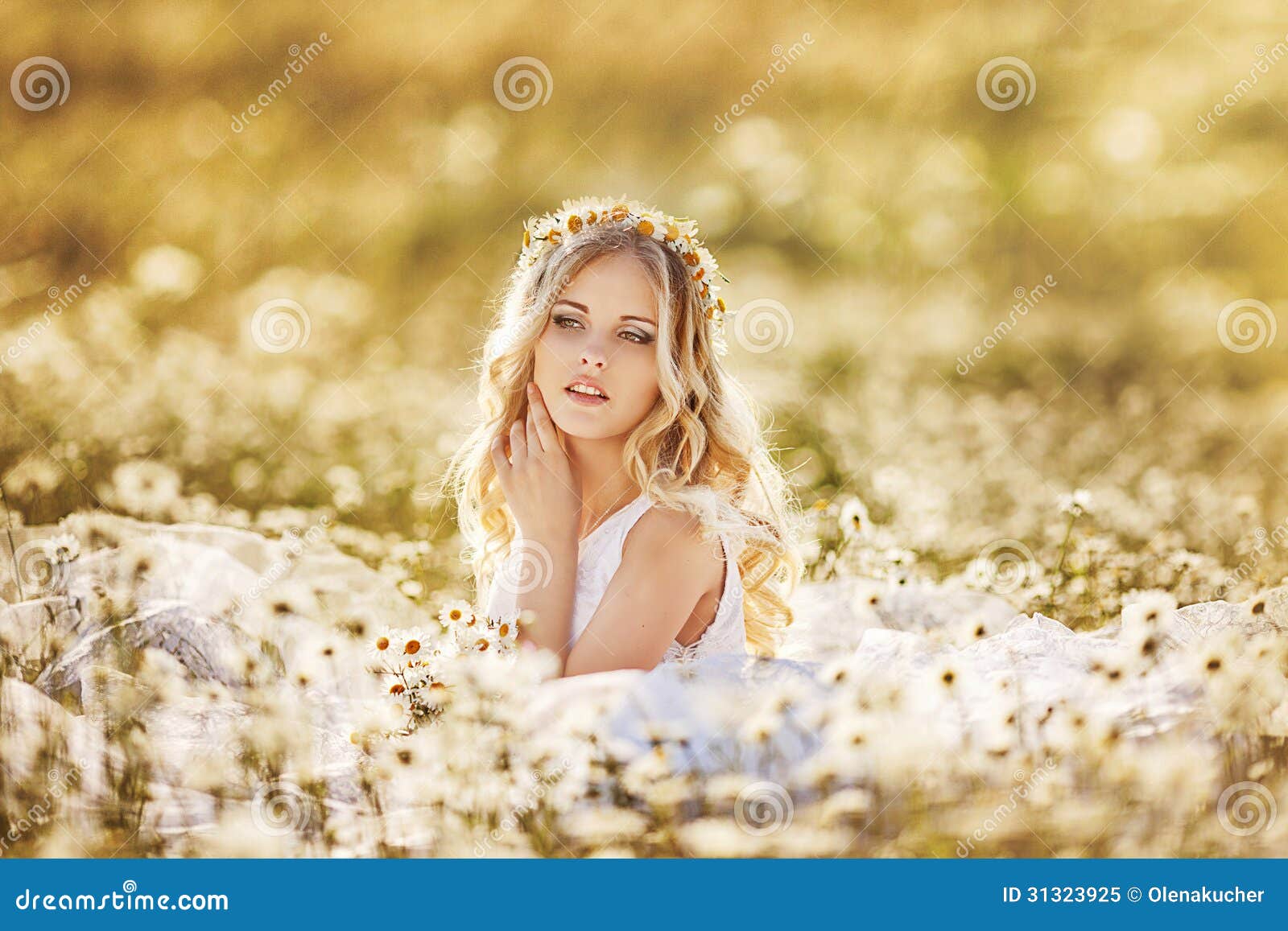 Beautiful bride in a field stock image. Image of enjoy - 31323925