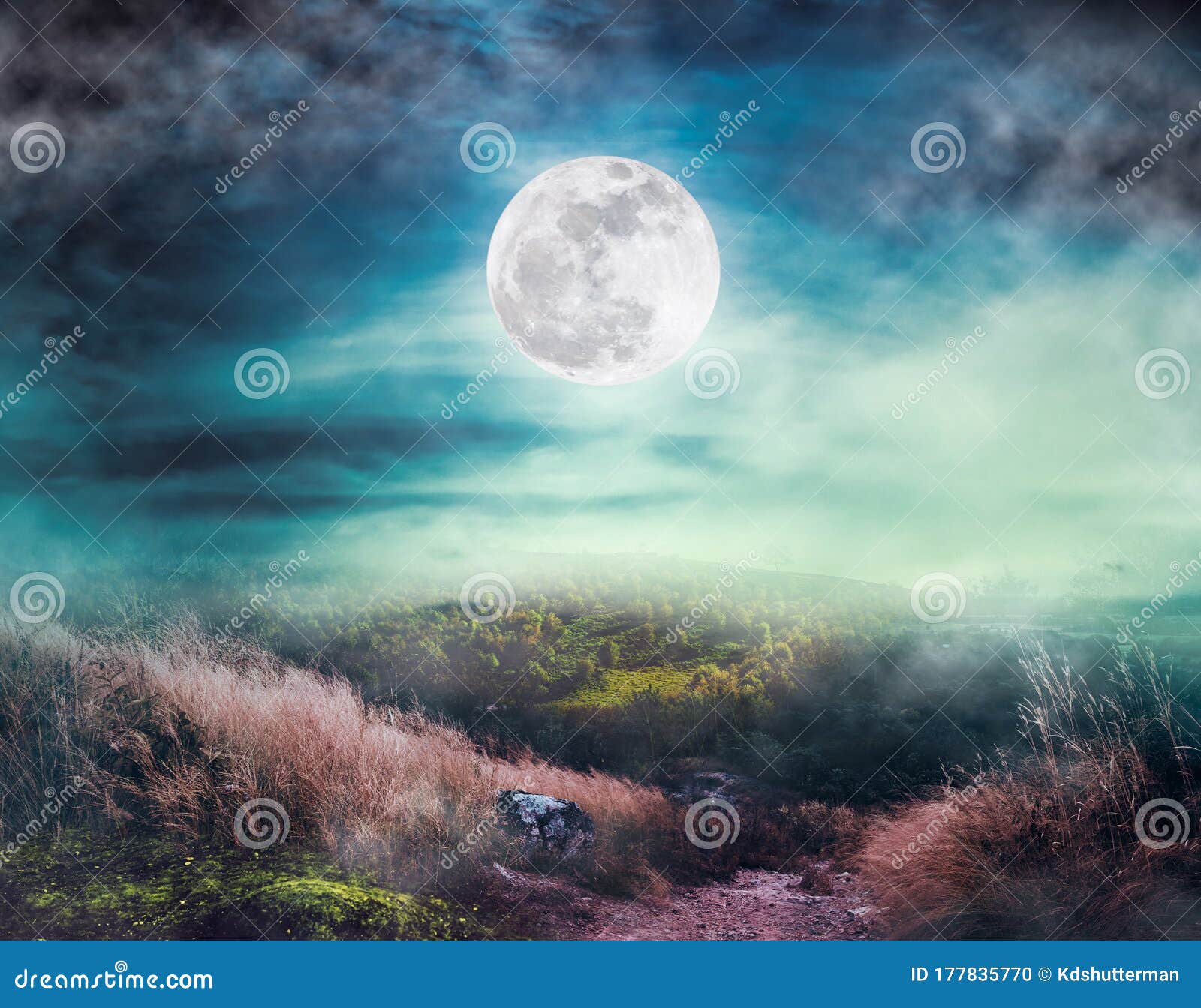 beautiful bright full moon above wilderness area in forest. serenity nature background