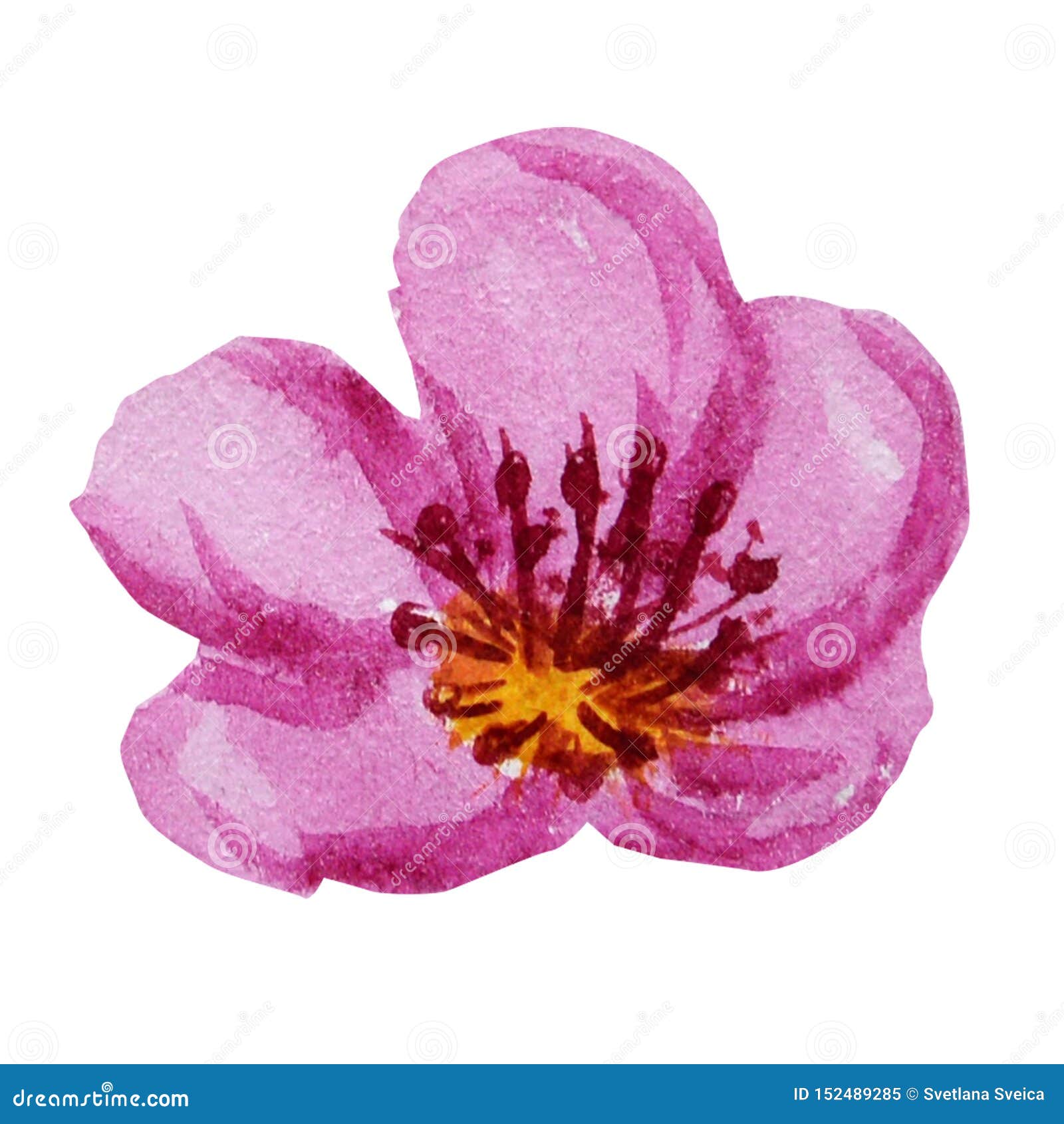 White Paper Flower Stock Illustrations – 264,350 White Paper Flower Stock  Illustrations, Vectors & Clipart - Dreamstime