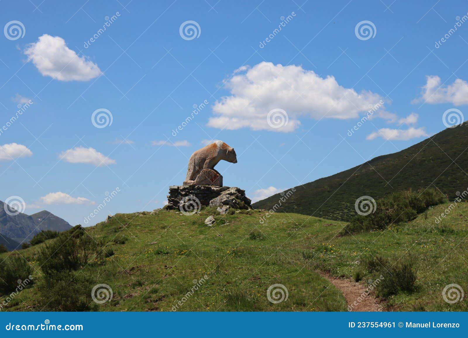 beautiful brown bear restless animal brave crazy funny natural