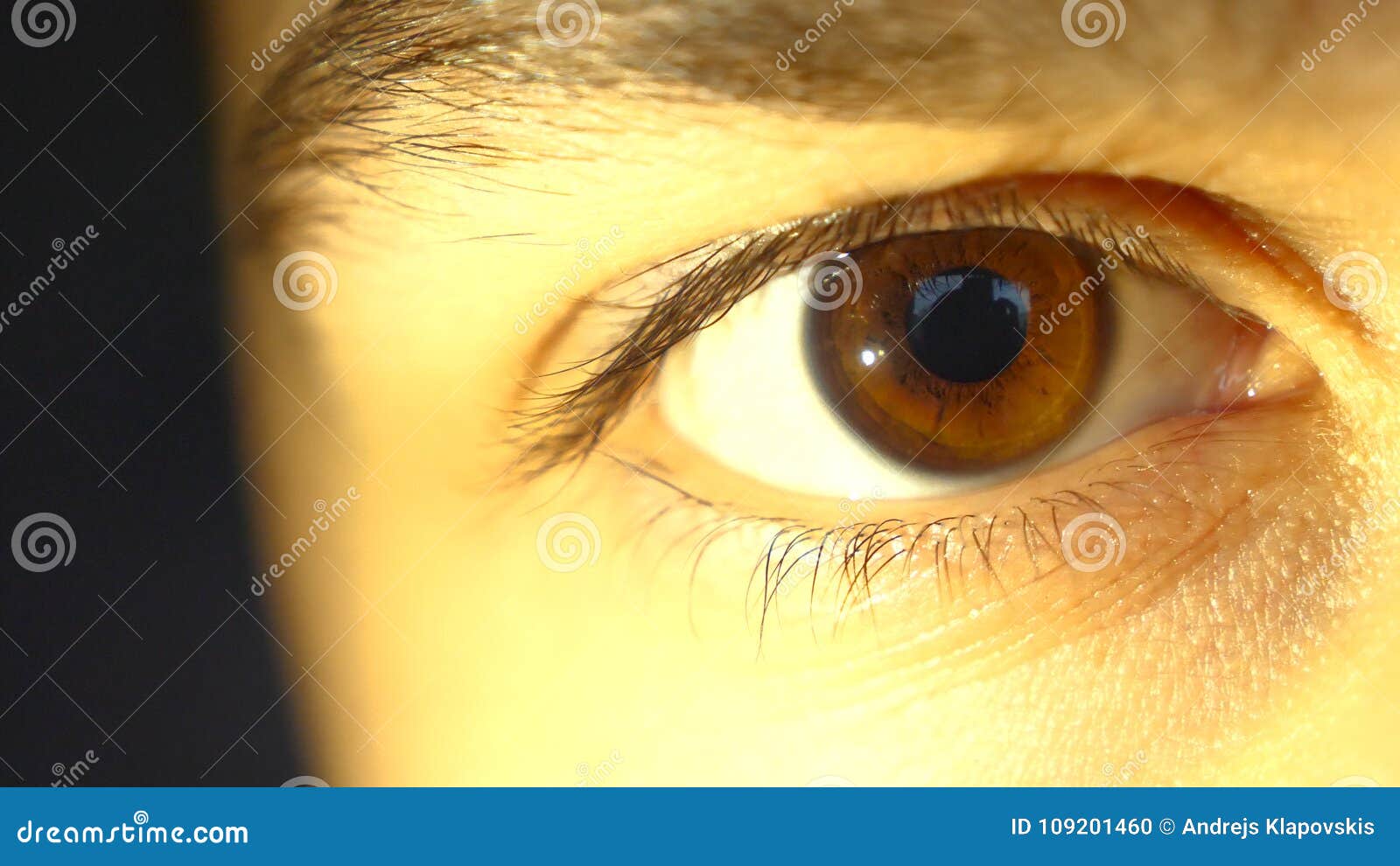 A Beautiful Brown Eye of a Boy, a Guy, Black Eyebrows Stock Photo