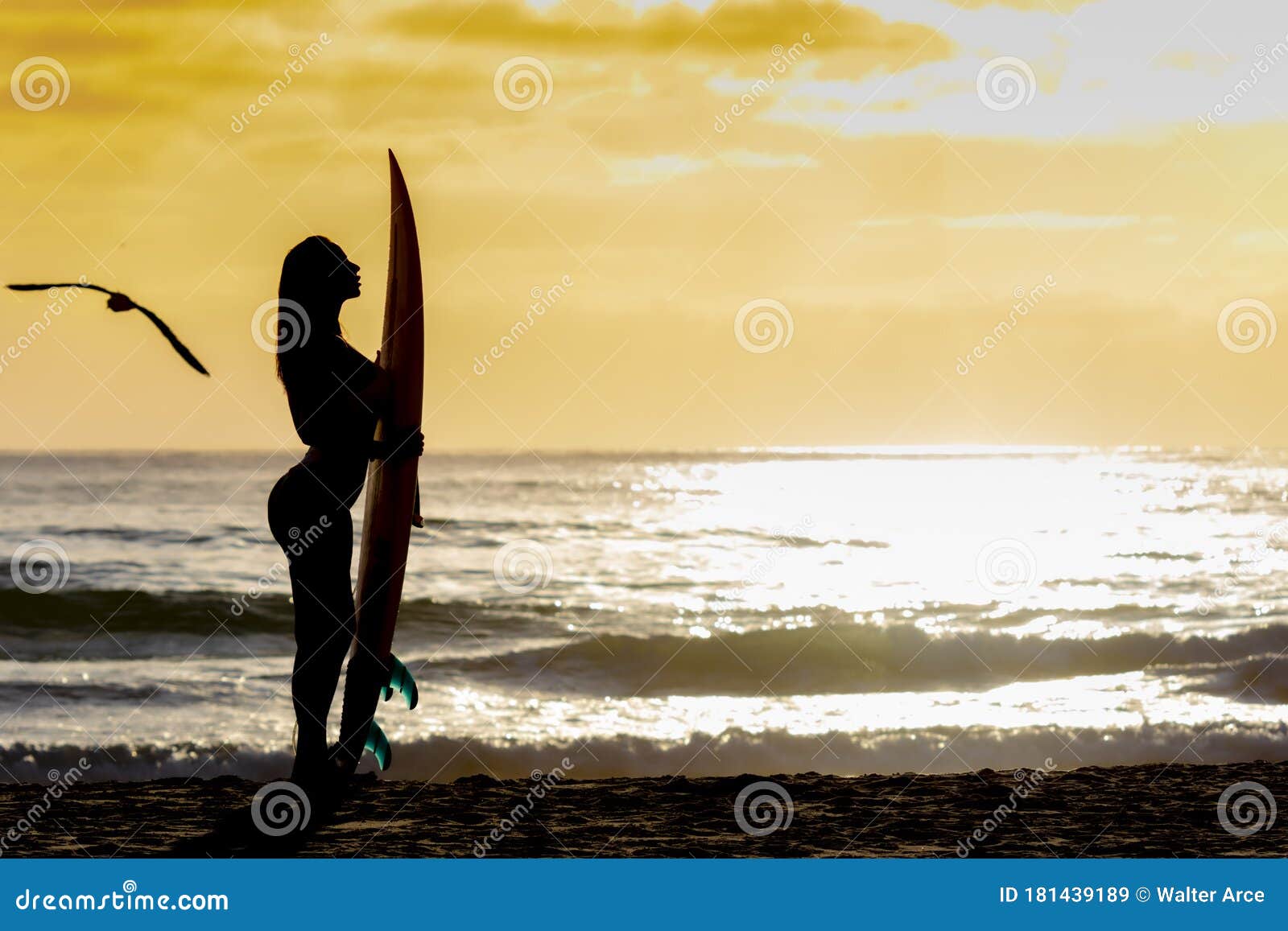 Lovely Brunette Bikini Model with Her Surfboard on a Beach Stock Image ...