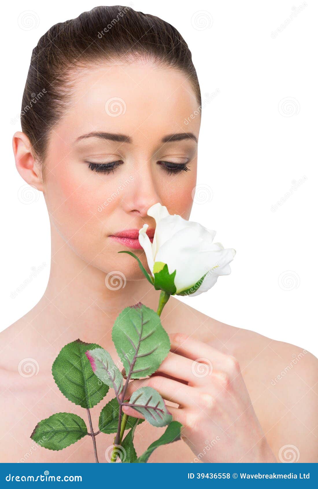 Beautiful Smelling White Rose Stock Photo Image of