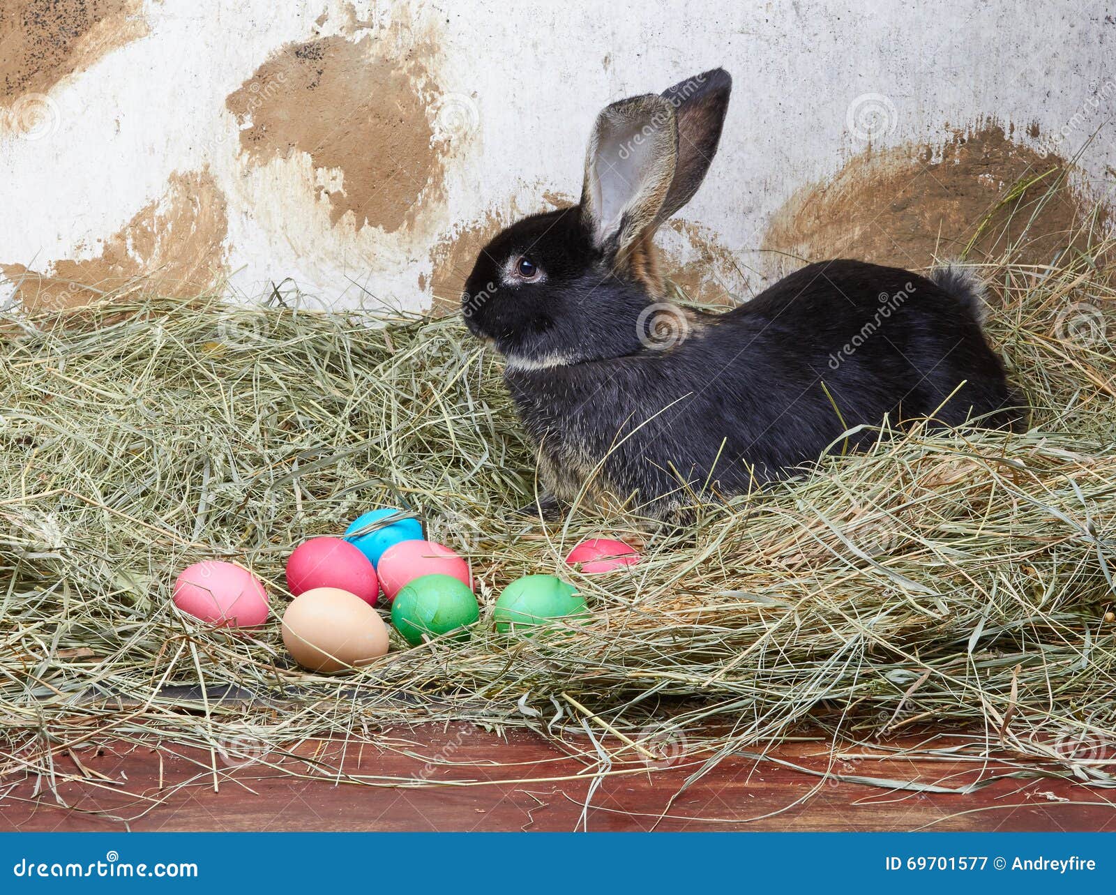 beautiful bunny is lying in the manger next to colored eggs