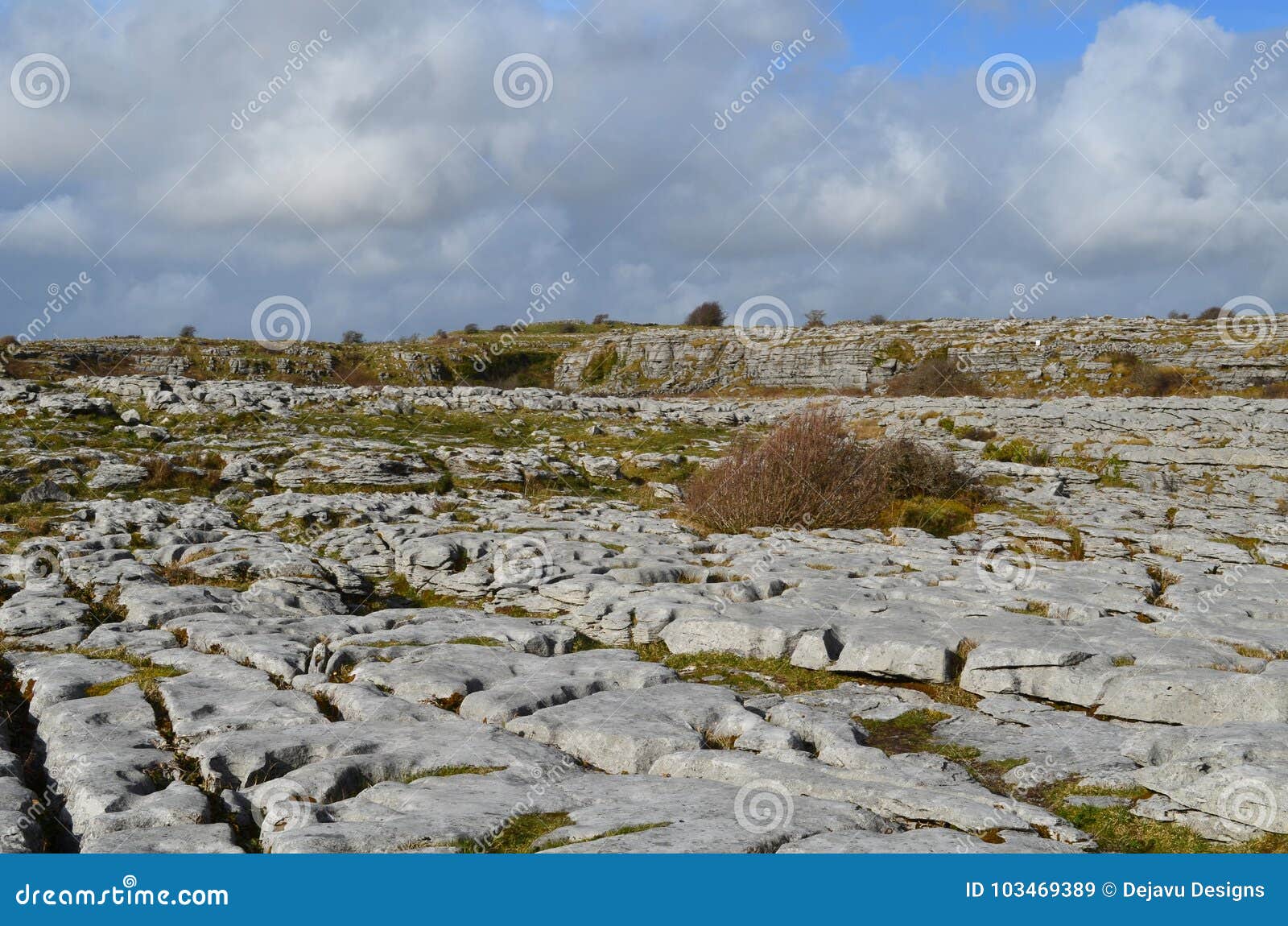 beautiful burren landscape with a field of stones