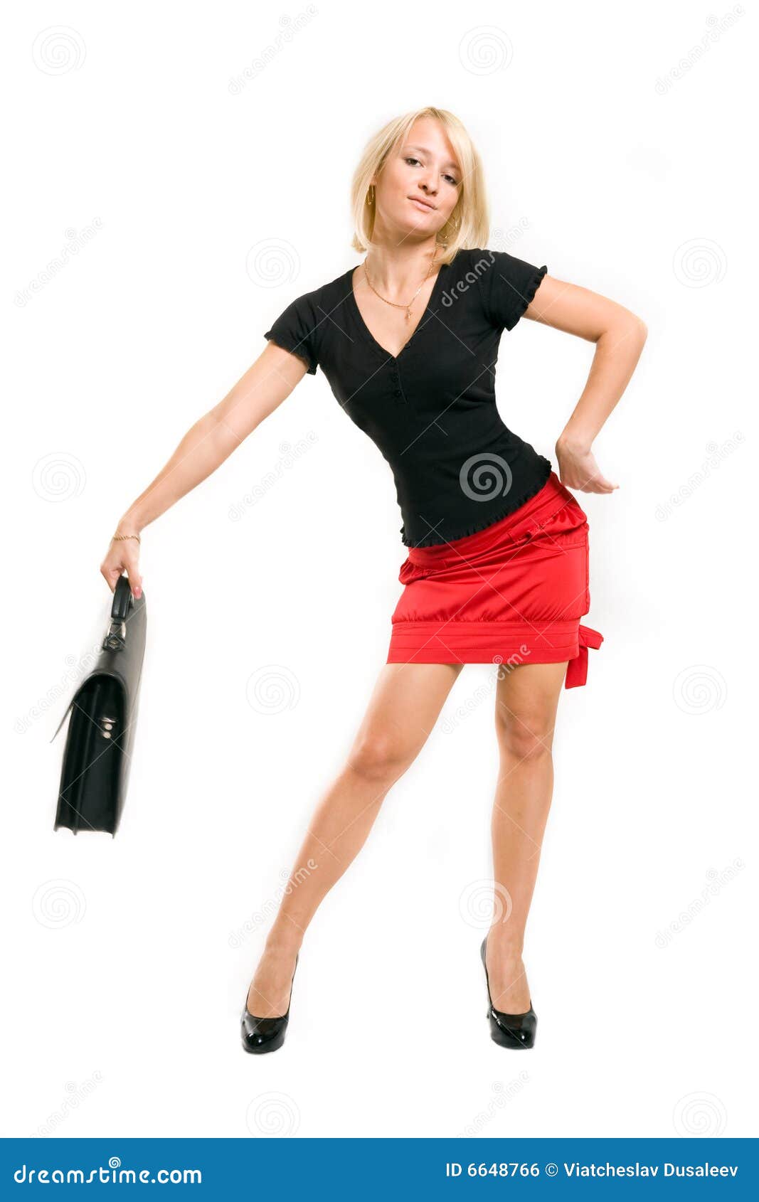 Beautiful Business Woman with Briefcase Stock Photo Image of case, figure 6648766
