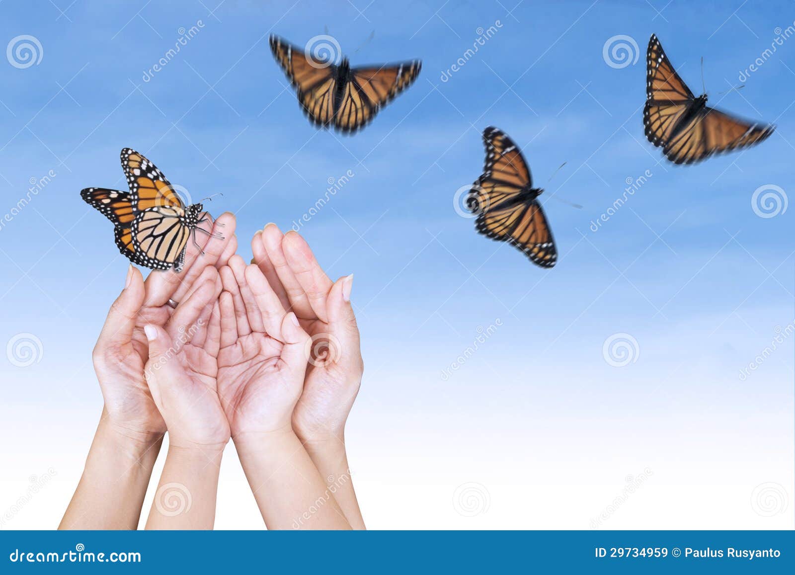 Beautiful Butterfly S and Open Hands Stock Image - Image of health ...