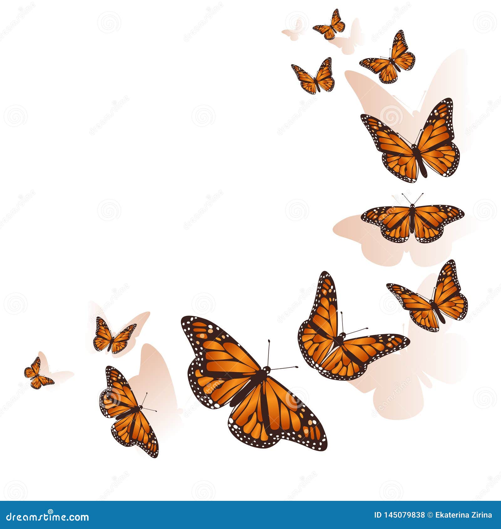 Beautiful Butterfly Flying in a Circle Background. Vector Stock Illustration Illustration of