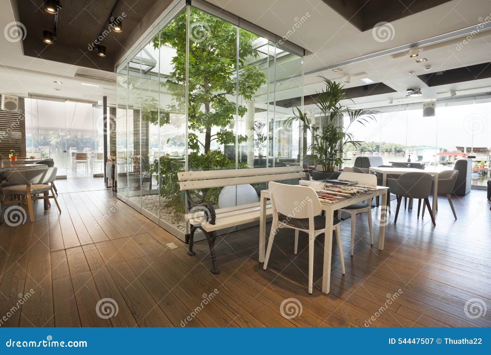 beautiful cafe interior tree 54447507