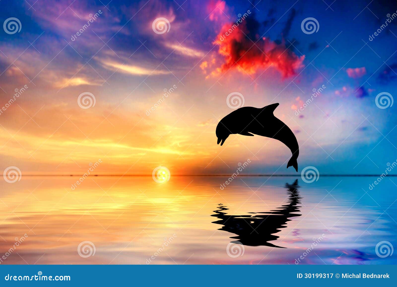 Beautiful Ocean And Sunset, Dolphin Jumping Stock Illustration - Illustration Of Jump, Bottlenosed: 30199317
