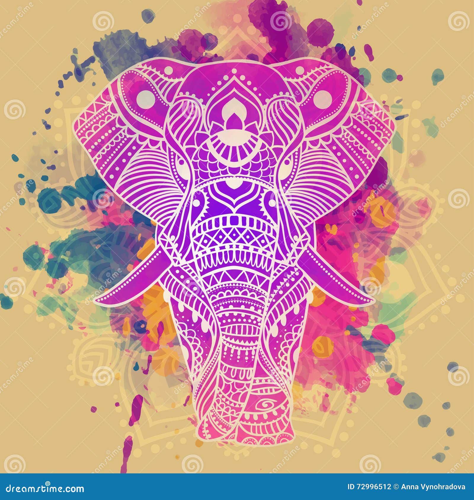 Elephants: Facts about Earth's largest living land animals | Live Science, image size:1600x1690