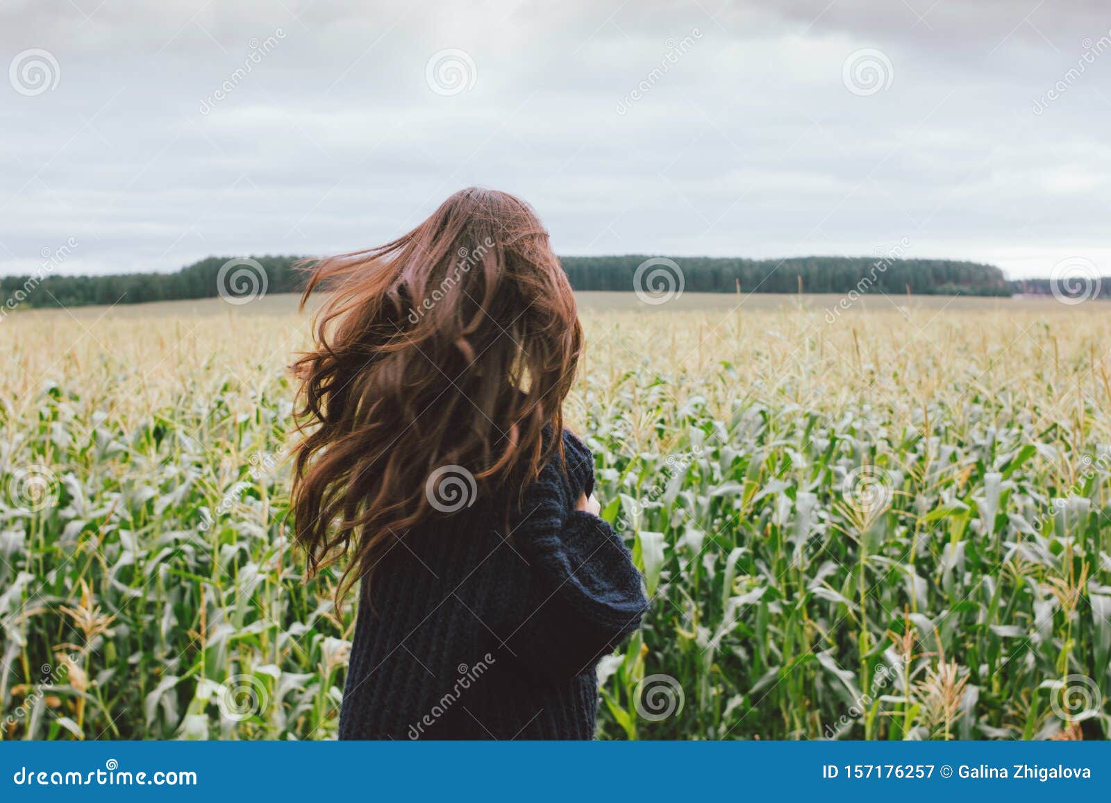 beautiful carefree long hair asian girl in knitted sweater from behind in the autumn corn field. sensitivity to nature concept