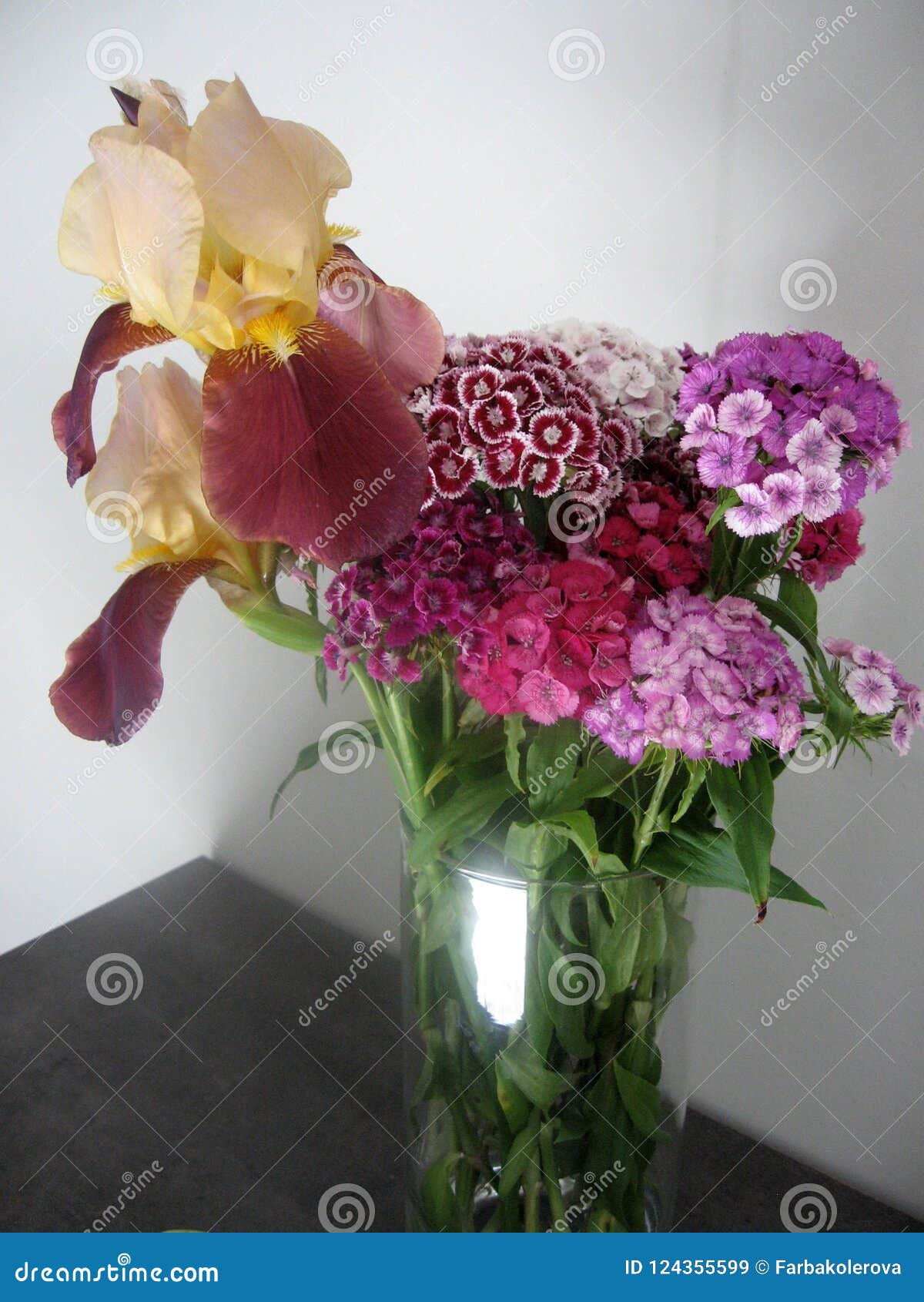 Beautiful Carnation Flowers in a Vase on a Table . Bouquet of Violet ...