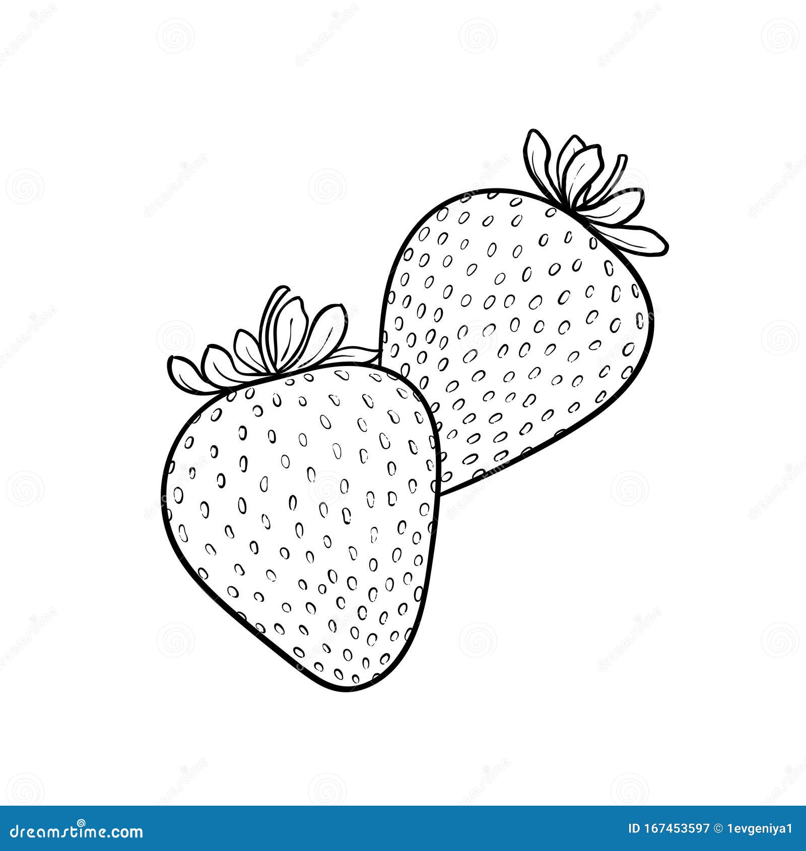 Strawberry Berry Leaf Flower Coloring Book Pin Tag Stock Vector -  Illustration of leaf, healthy: 253864746