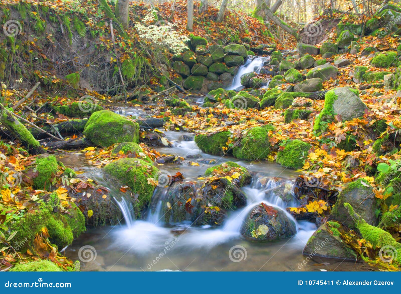 Beautiful Cascade Waterfall In Autumn Forest Stock Image Image Of