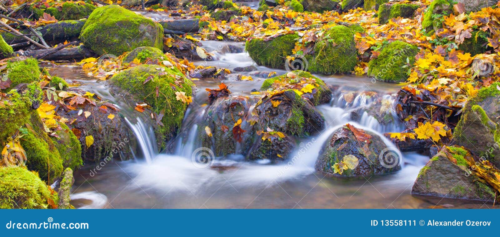Beautiful Cascade Waterfall In Autumn Forest Stock Image Image Of