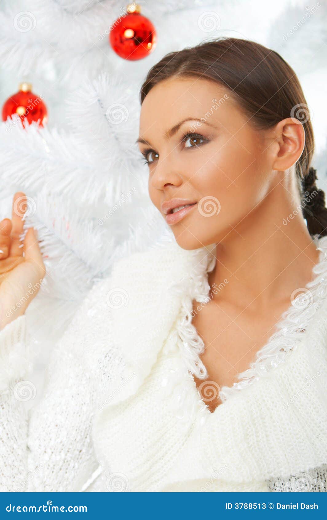 Beautiful Christmas 3 stock image. Image of tradition - 3788513