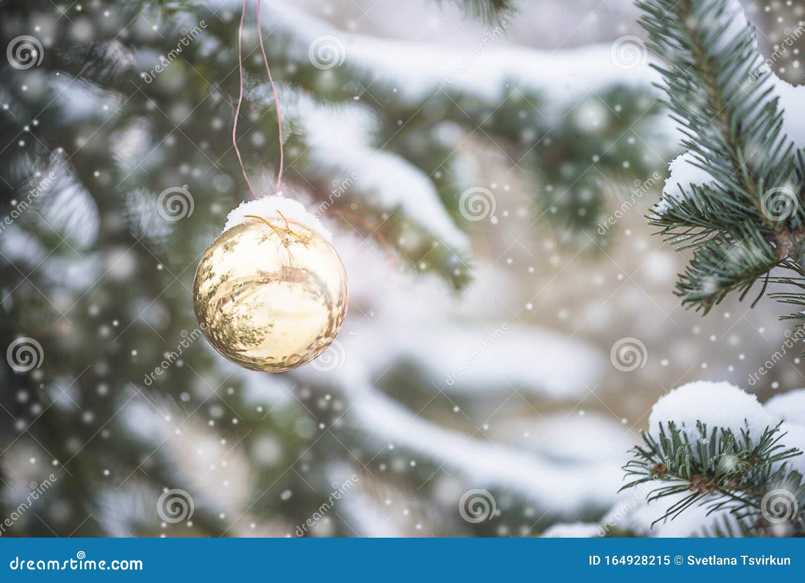 Beautiful Christmas Holiday Landscape with One Christmas Decoration on ...