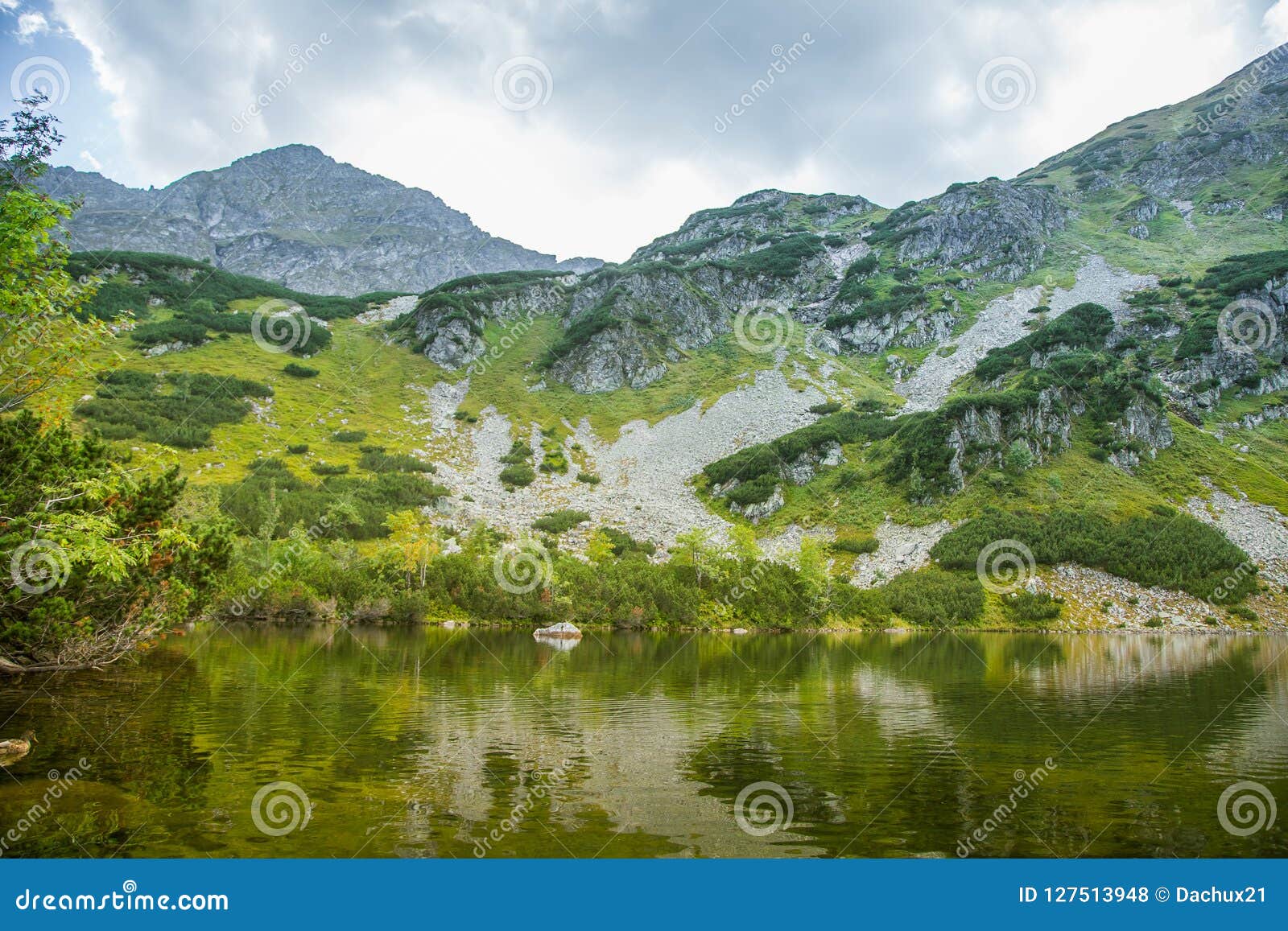 A Beautiful, Clean Lake In The Mountain Valley In Calm ...