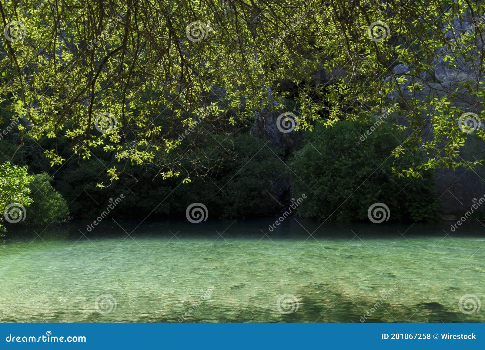 beautiful clear lake by the trees captured in la cueva del gato, spain